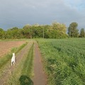 Csütörtök.