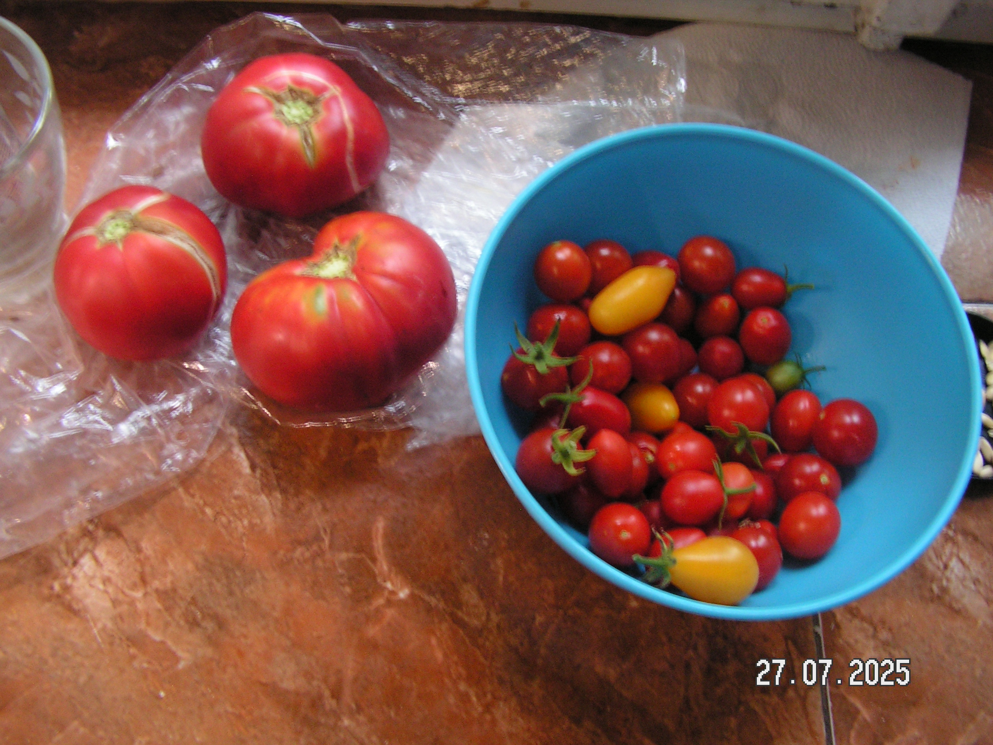pict0021_6.JPG