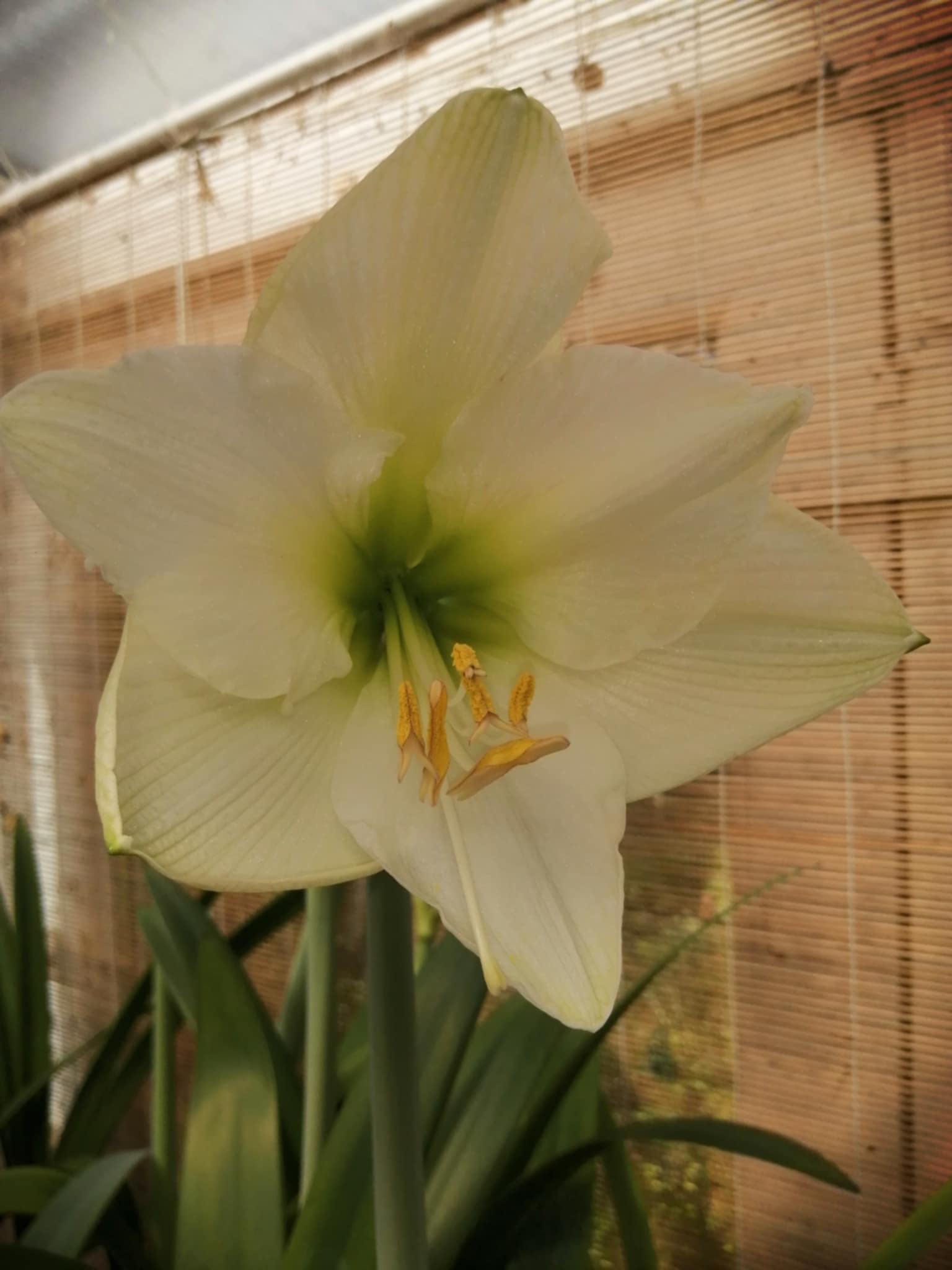 38144cfa-d038-4a7d-b9f8-f830b008ae78.jpg