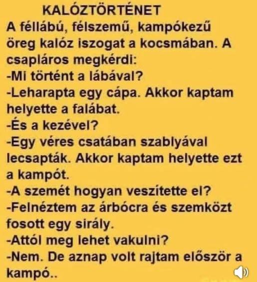 kaloz.jpg