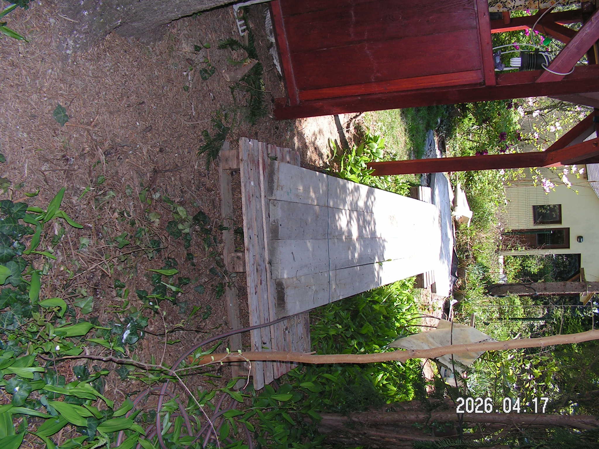 pict0001_13.JPG
