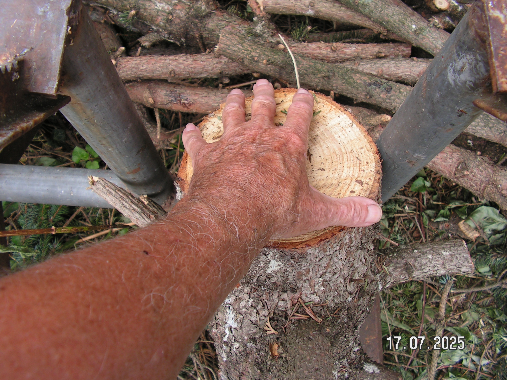 pict0007_9.JPG