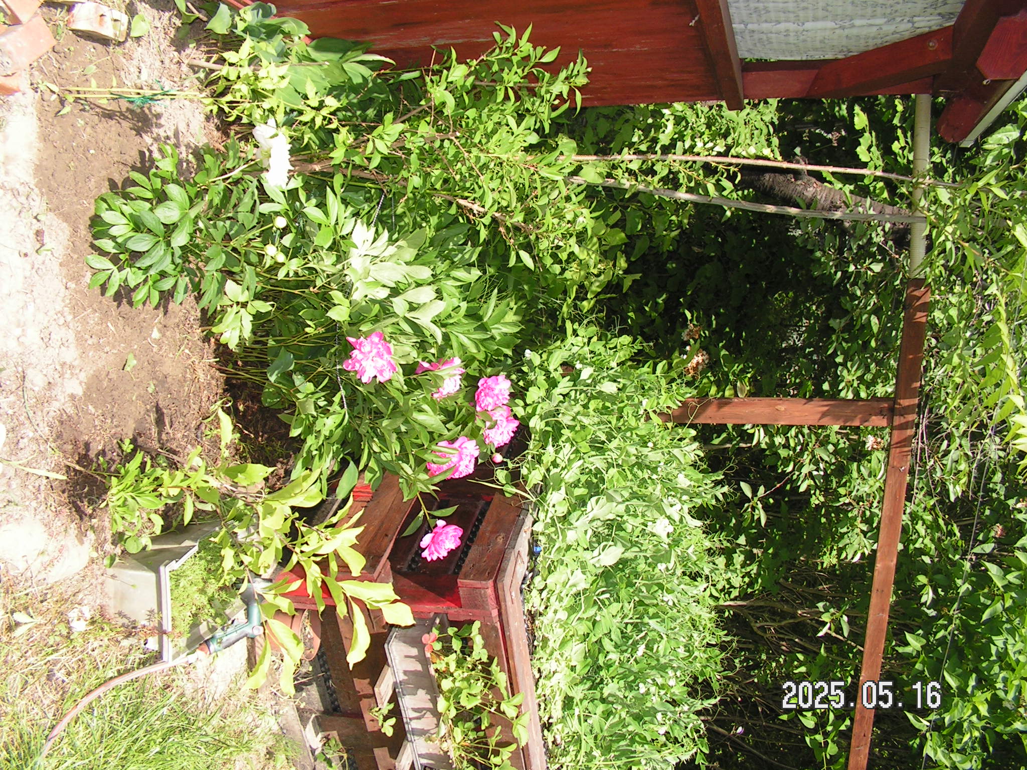 pict0009_6.JPG