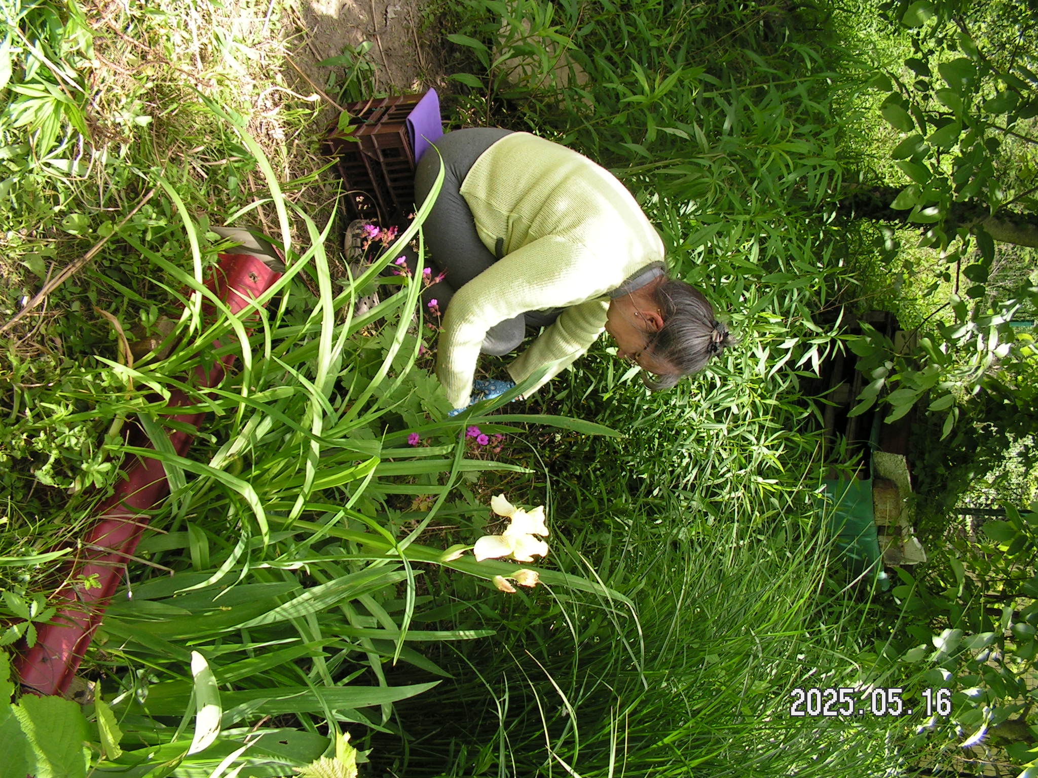 pict0010_5.JPG