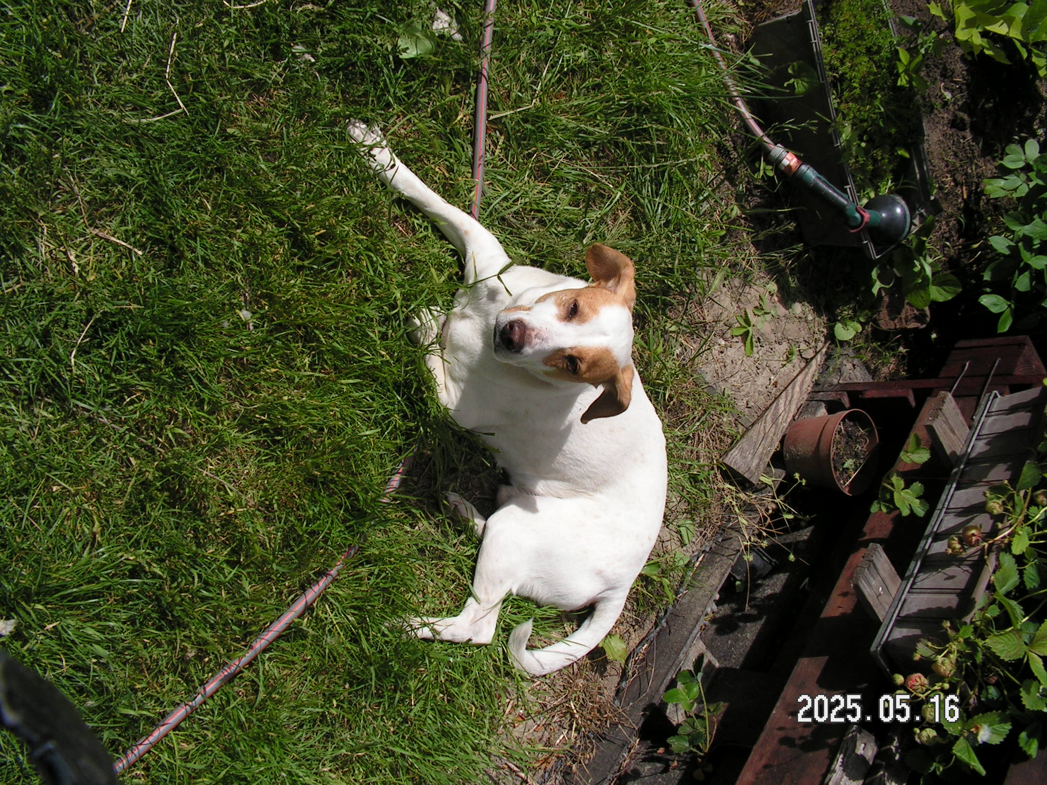 pict0011_8.JPG