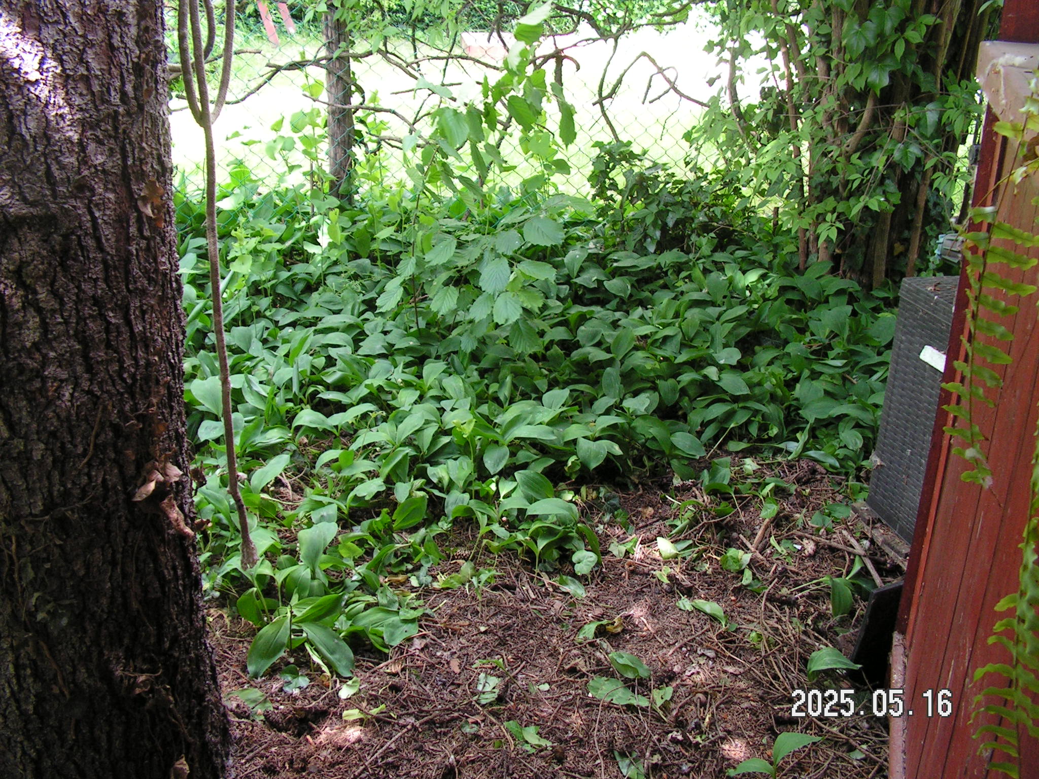 pict0012_8.JPG