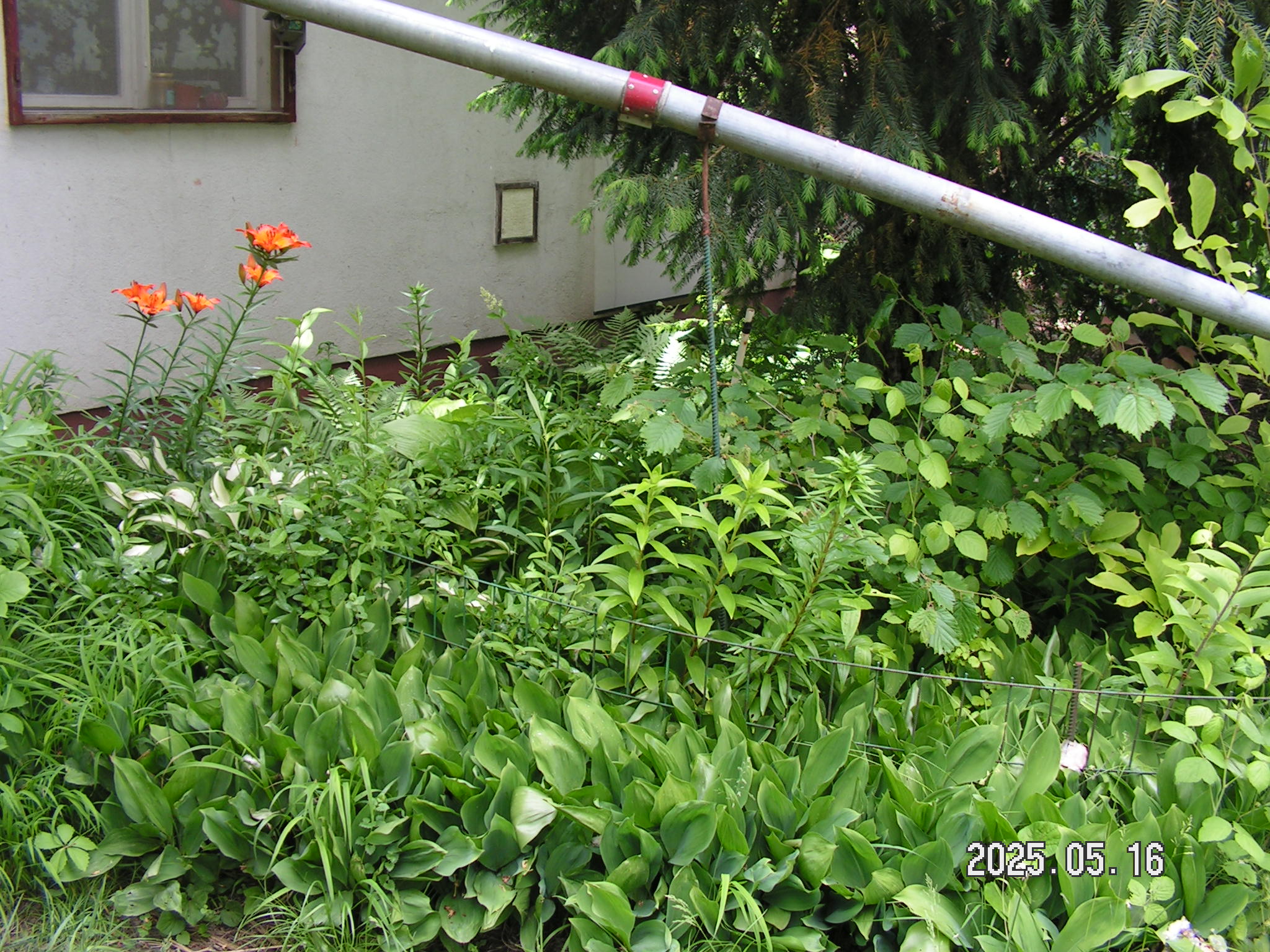 pict0020_6.JPG