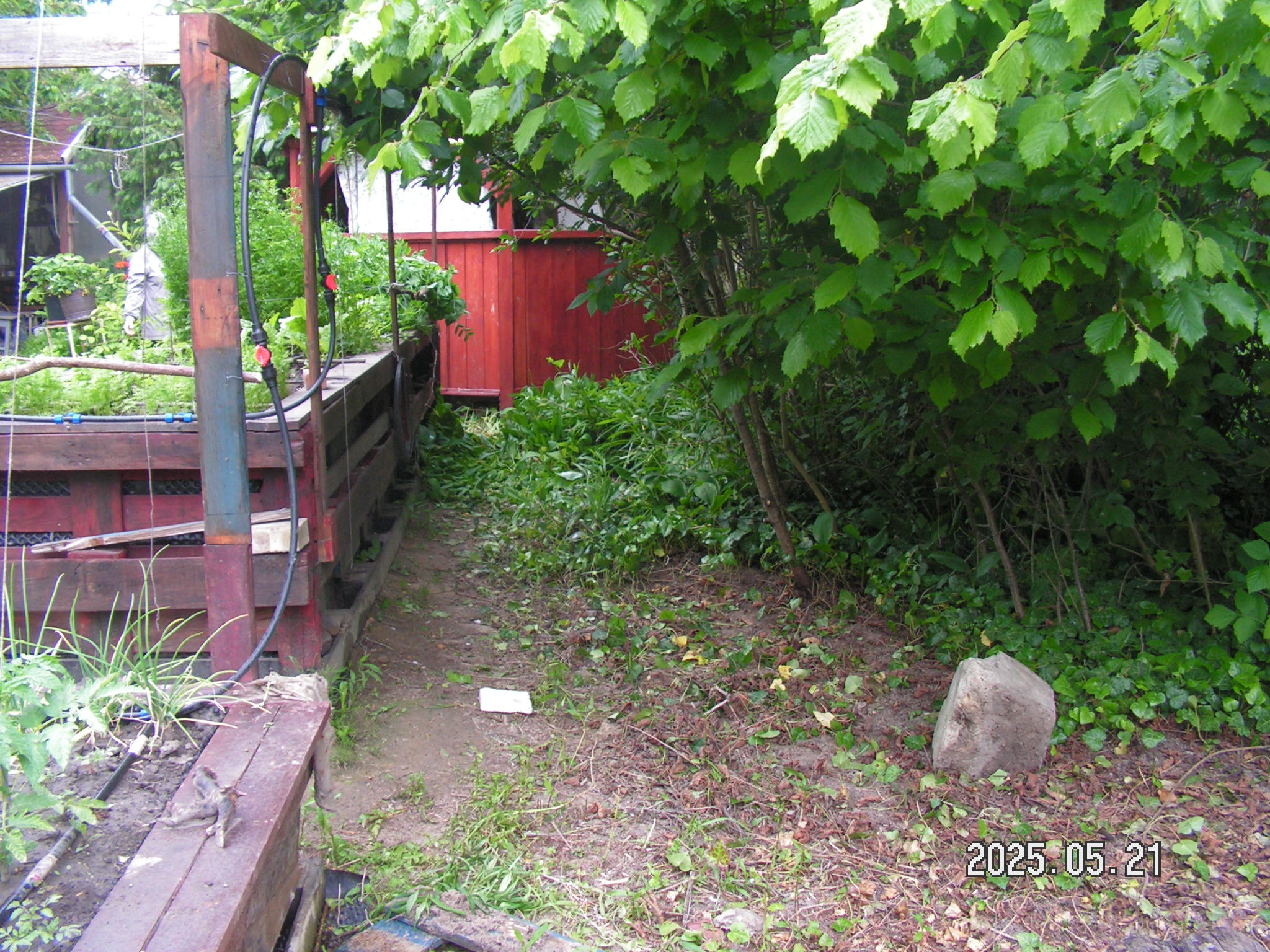 pict0022_7.JPG