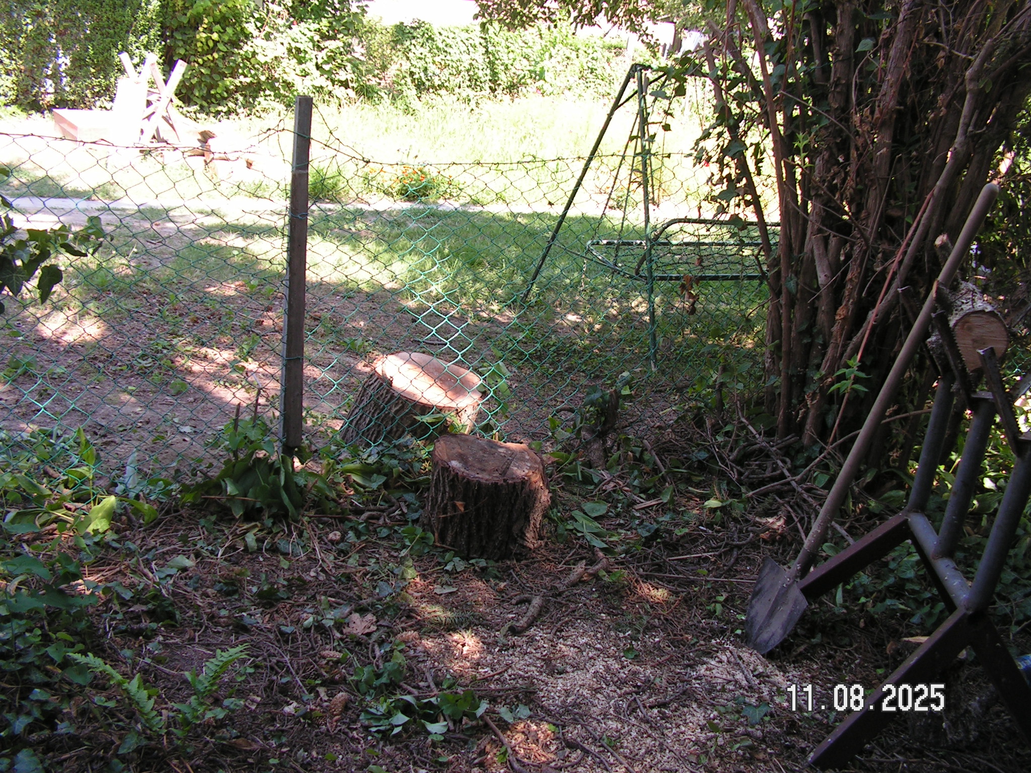 pict0029_9.JPG