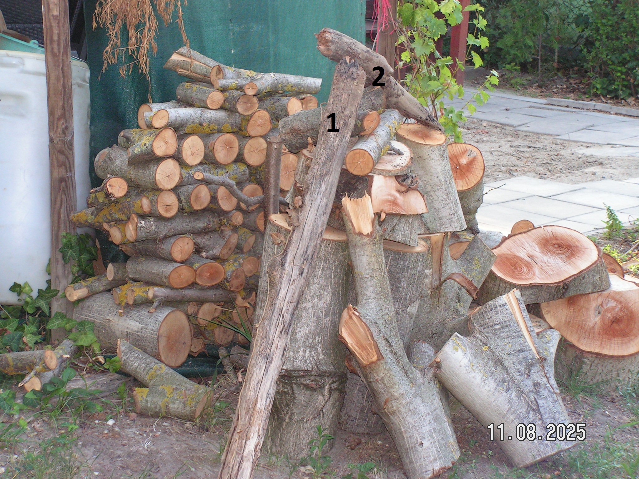pict0031_10.JPG