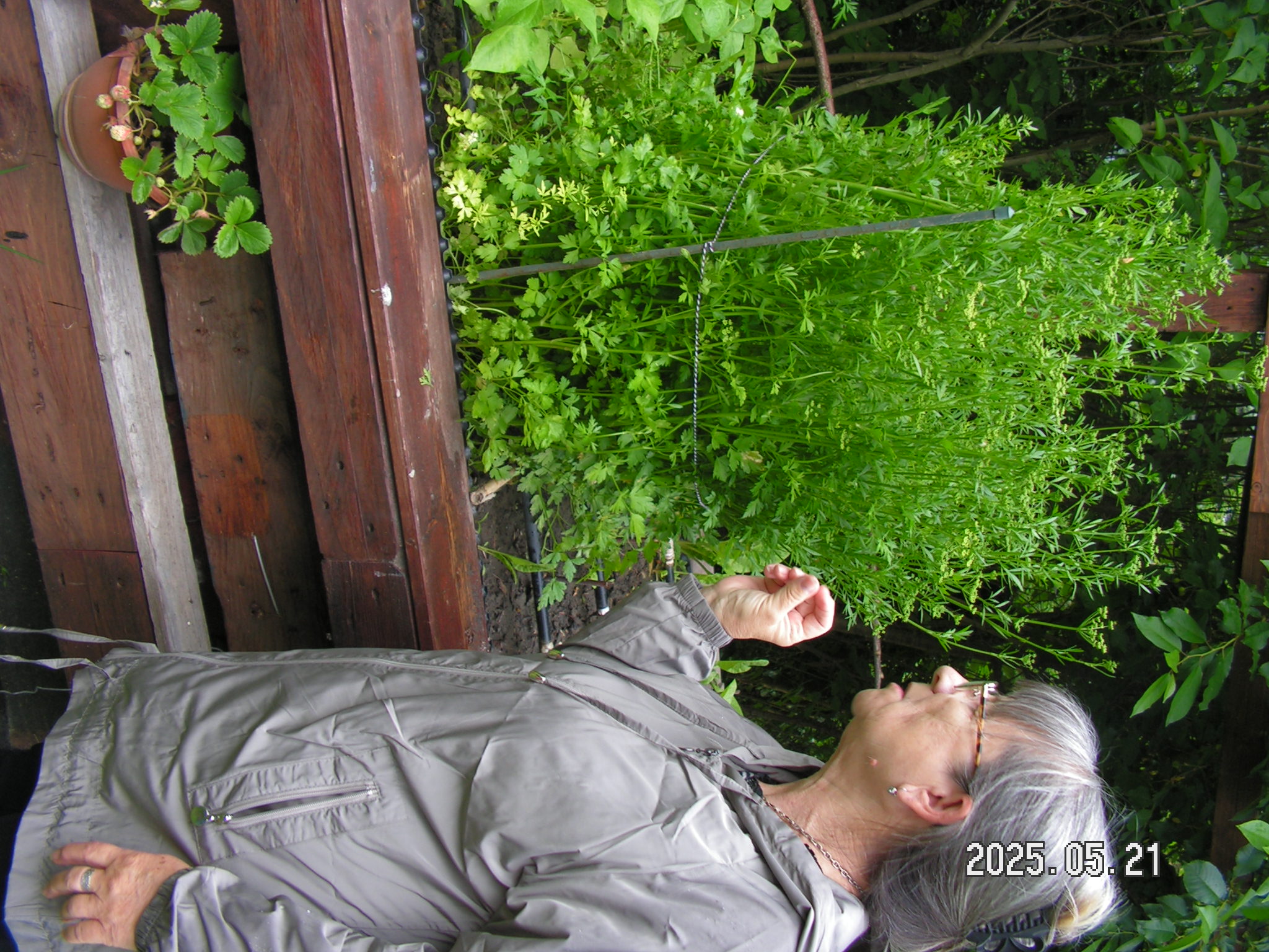 pict0031_8.JPG