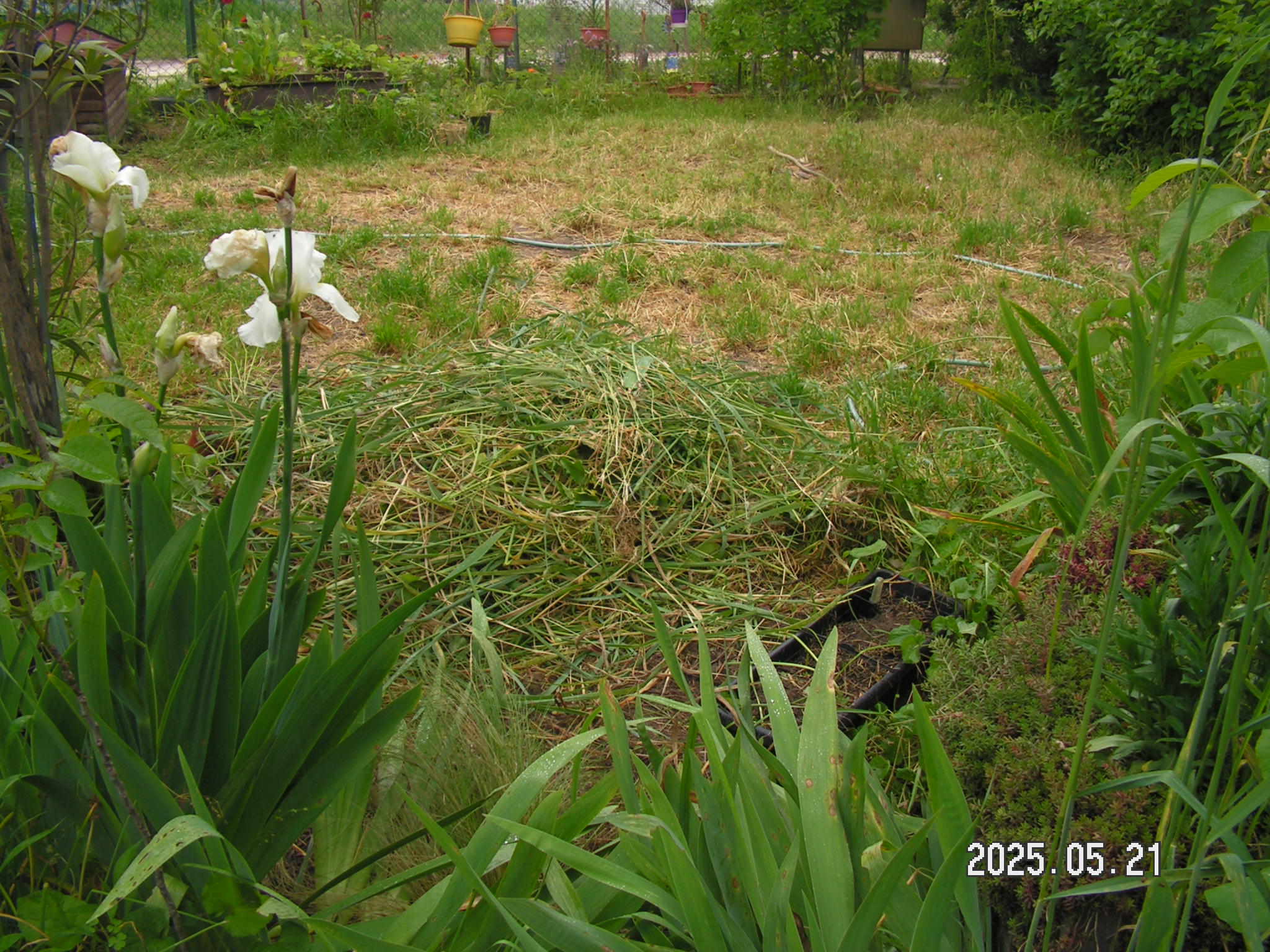 pict0034_7.JPG