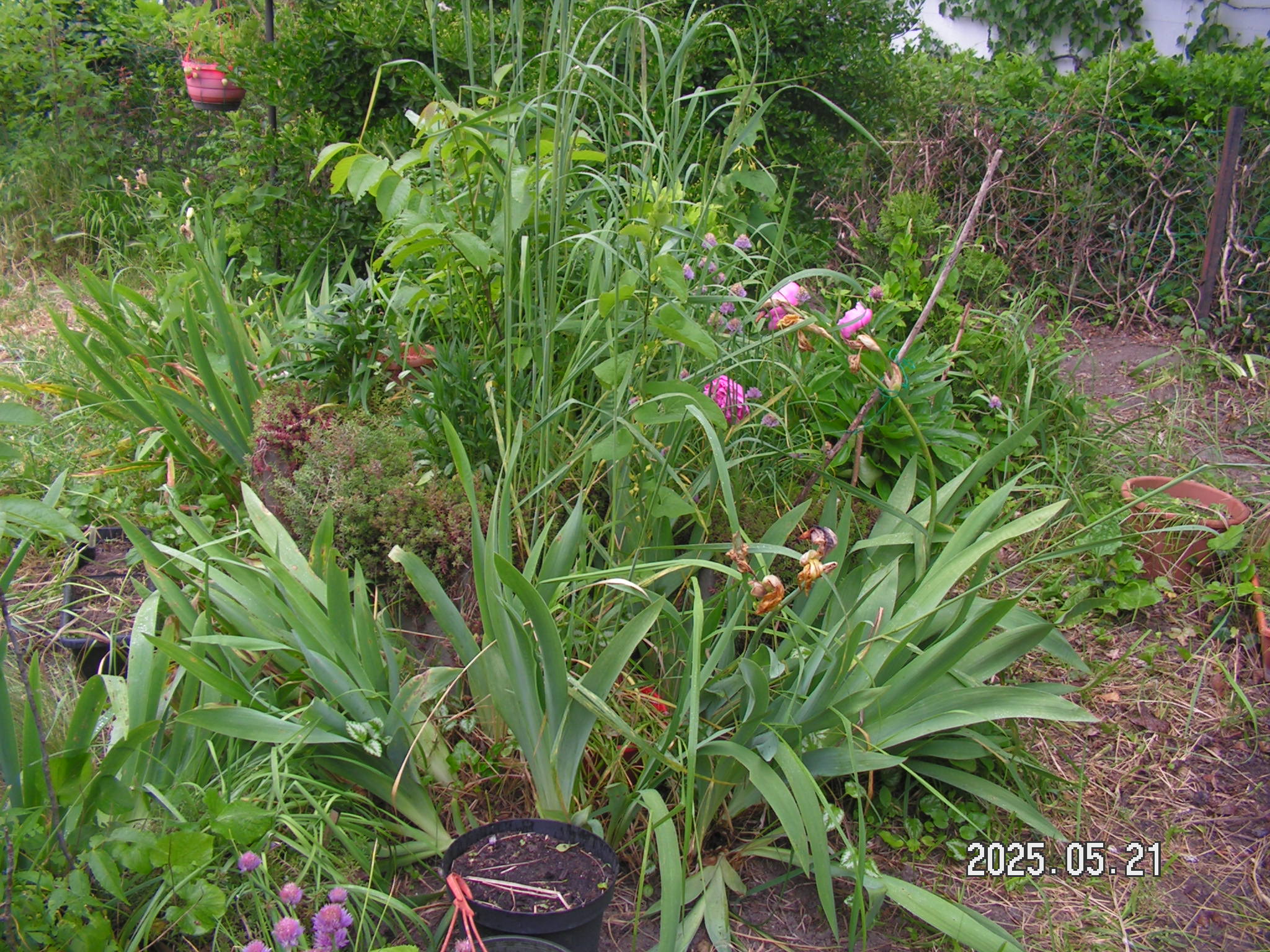 pict0035_4.JPG