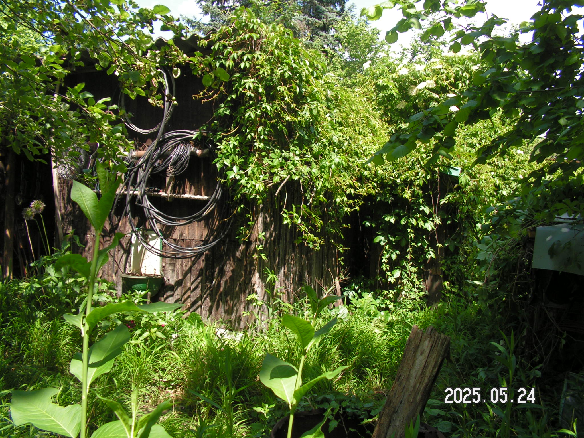 pict0038_6.JPG
