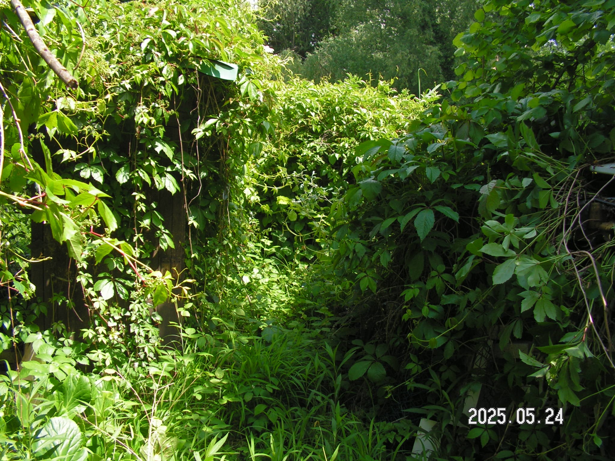 pict0040_6.JPG