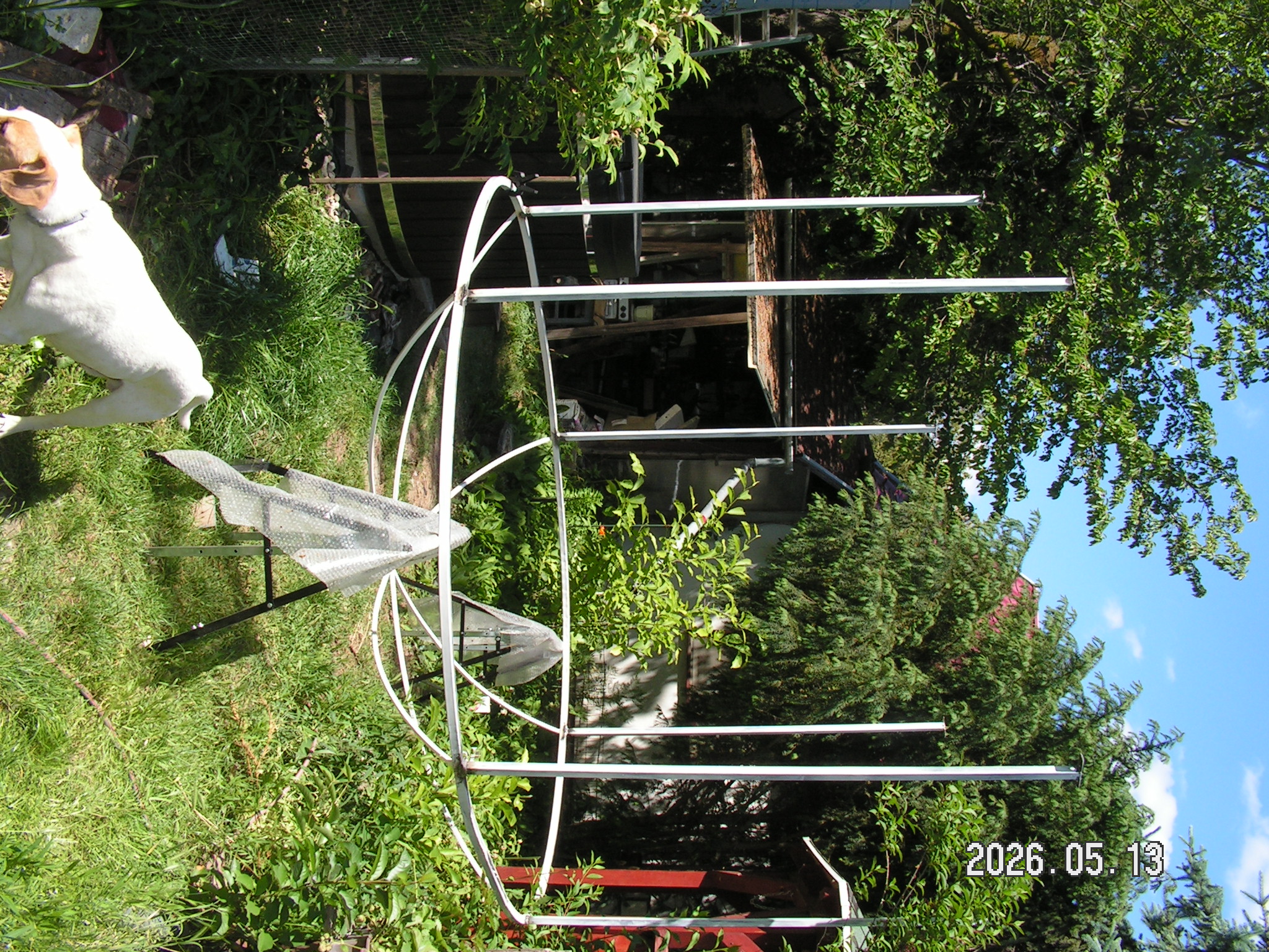 pict0047_7.JPG