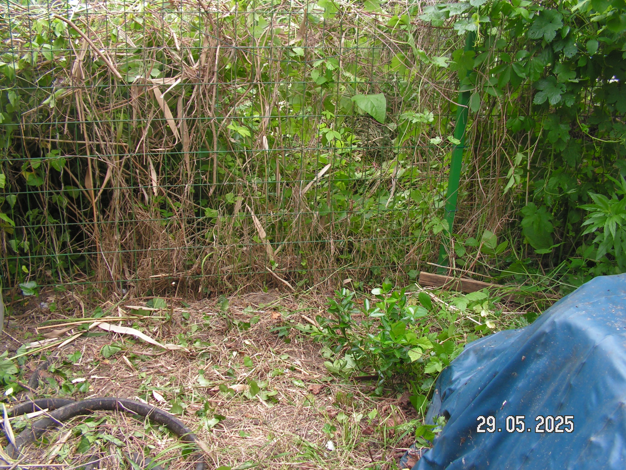 pict0049_4.JPG