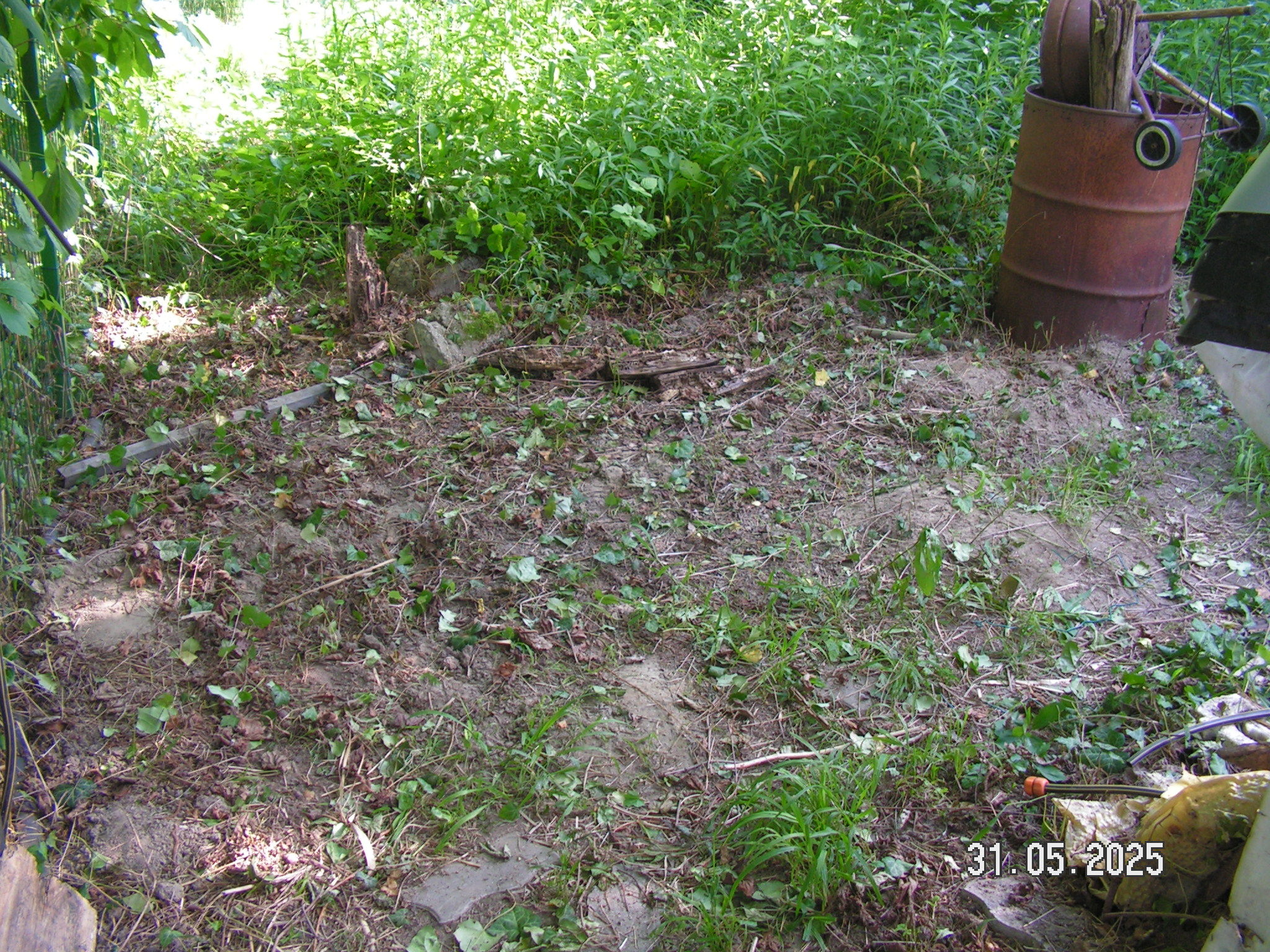 pict0053_5.JPG