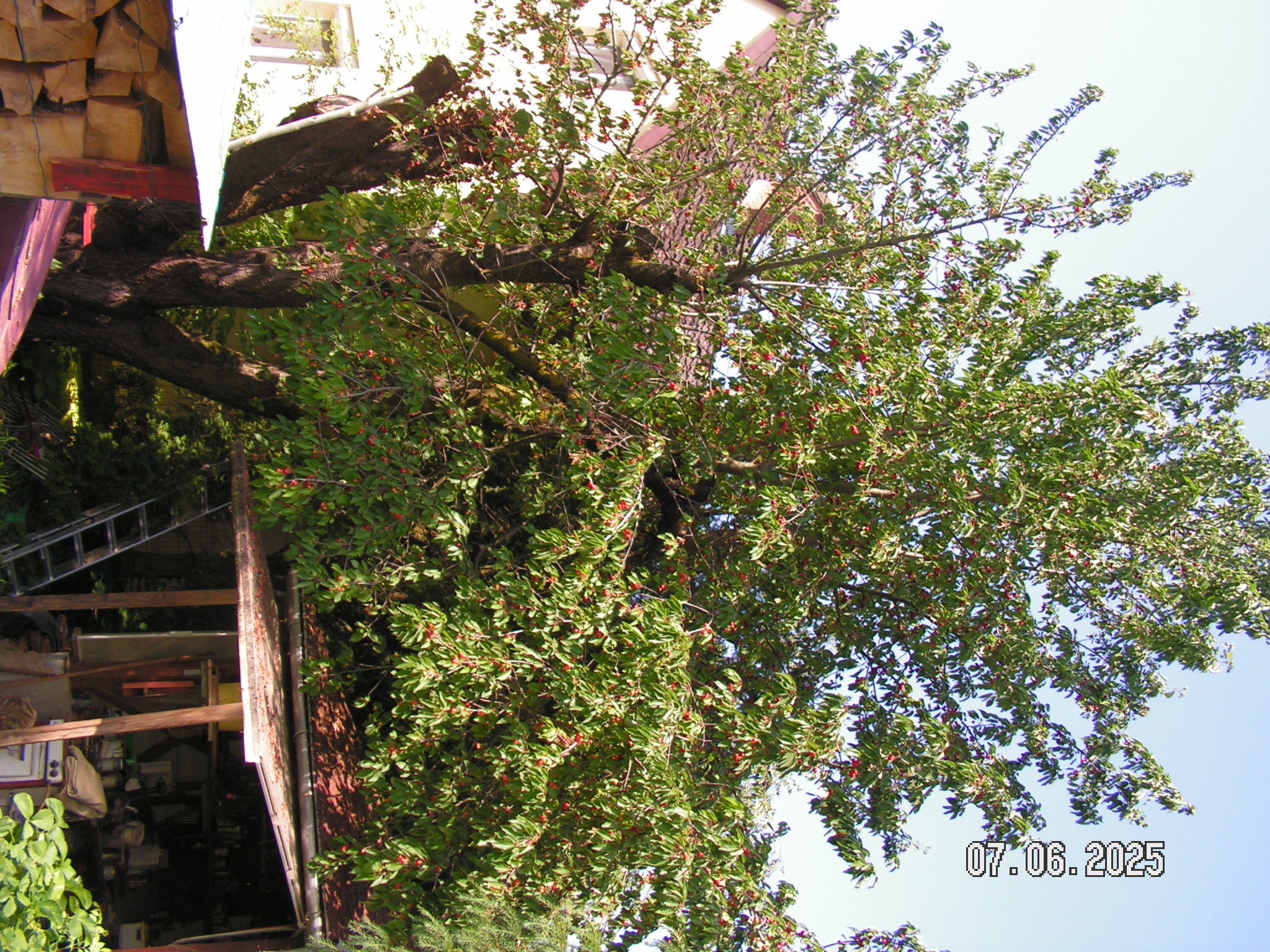 pict0056_5.JPG