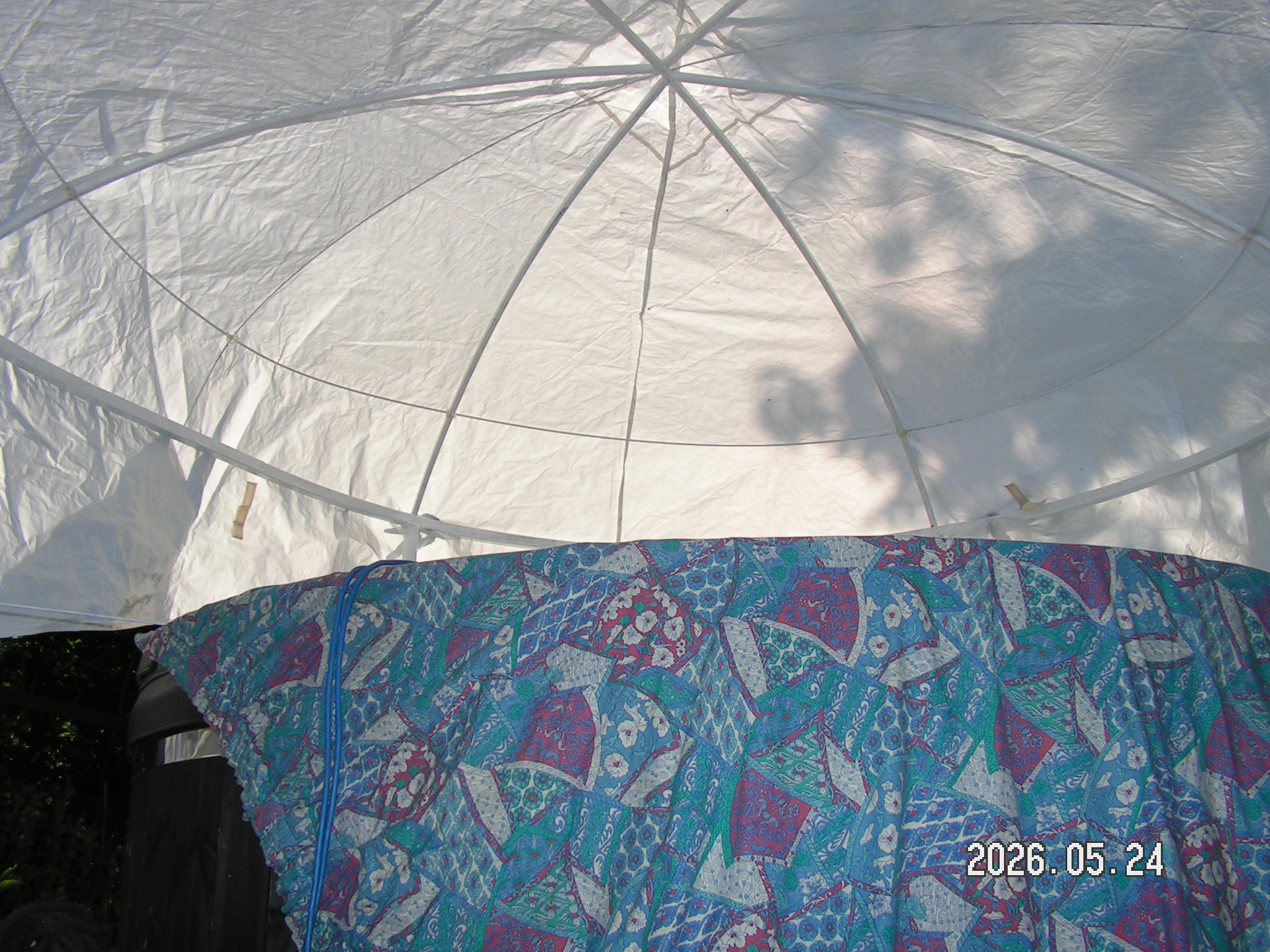 pict0057_5.JPG
