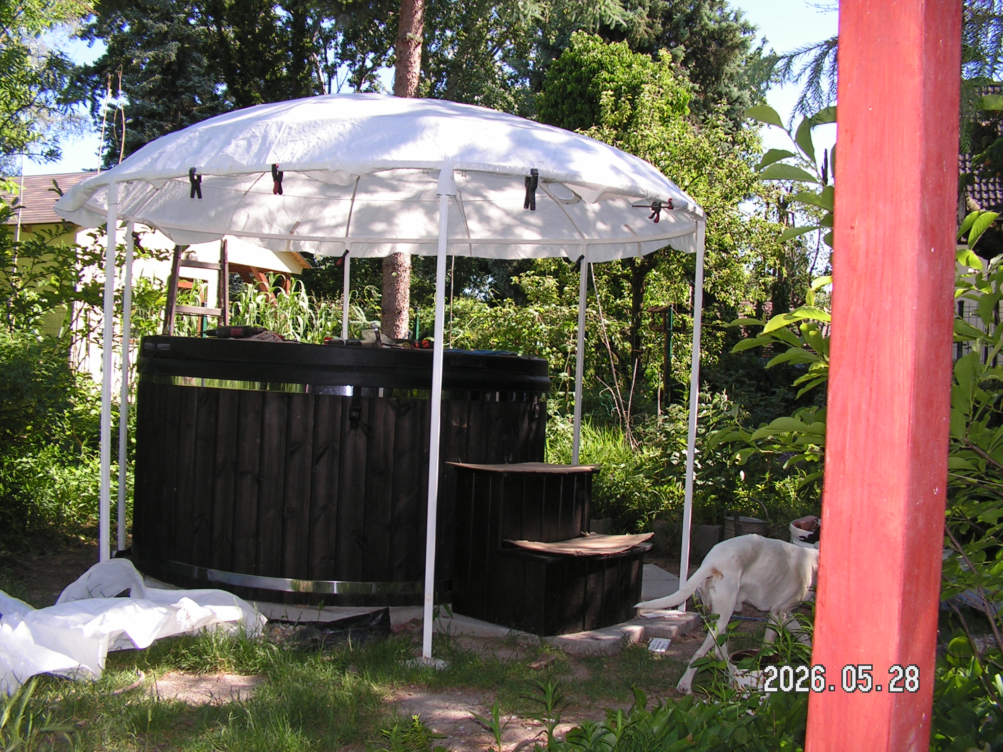 pict0066_2.JPG
