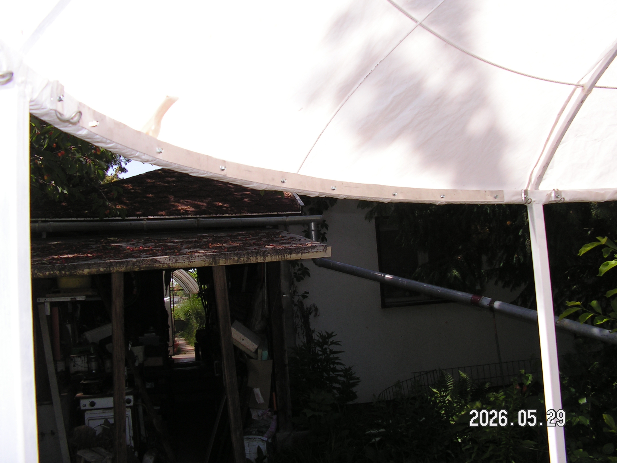pict0070_3.JPG
