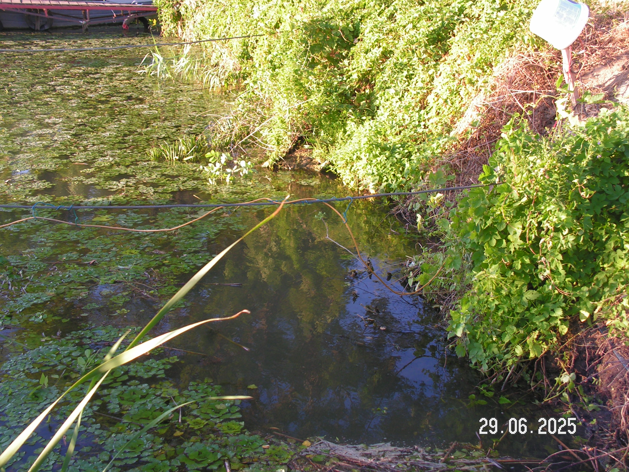 pict0072_4.JPG