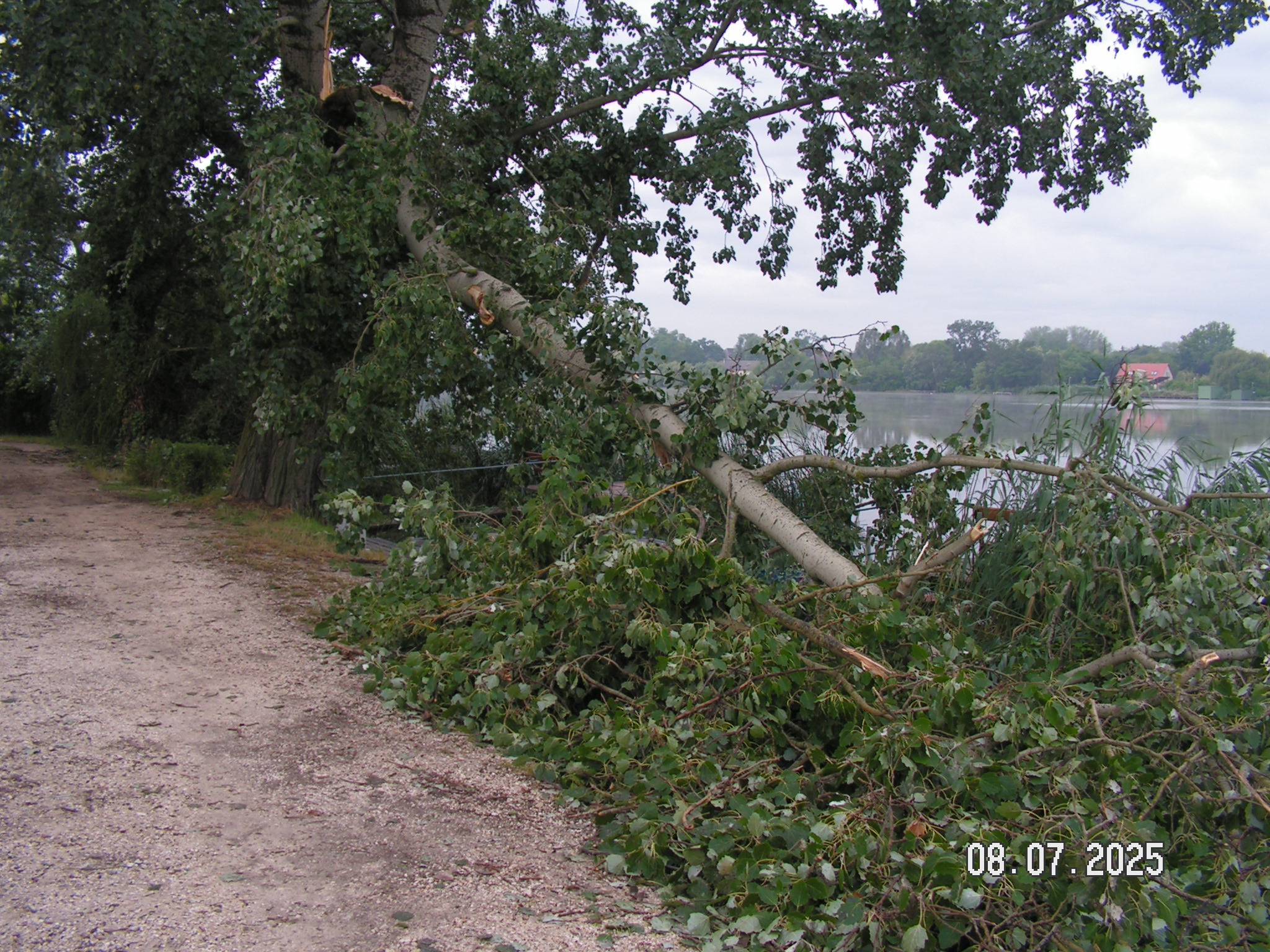 pict0088_3.JPG