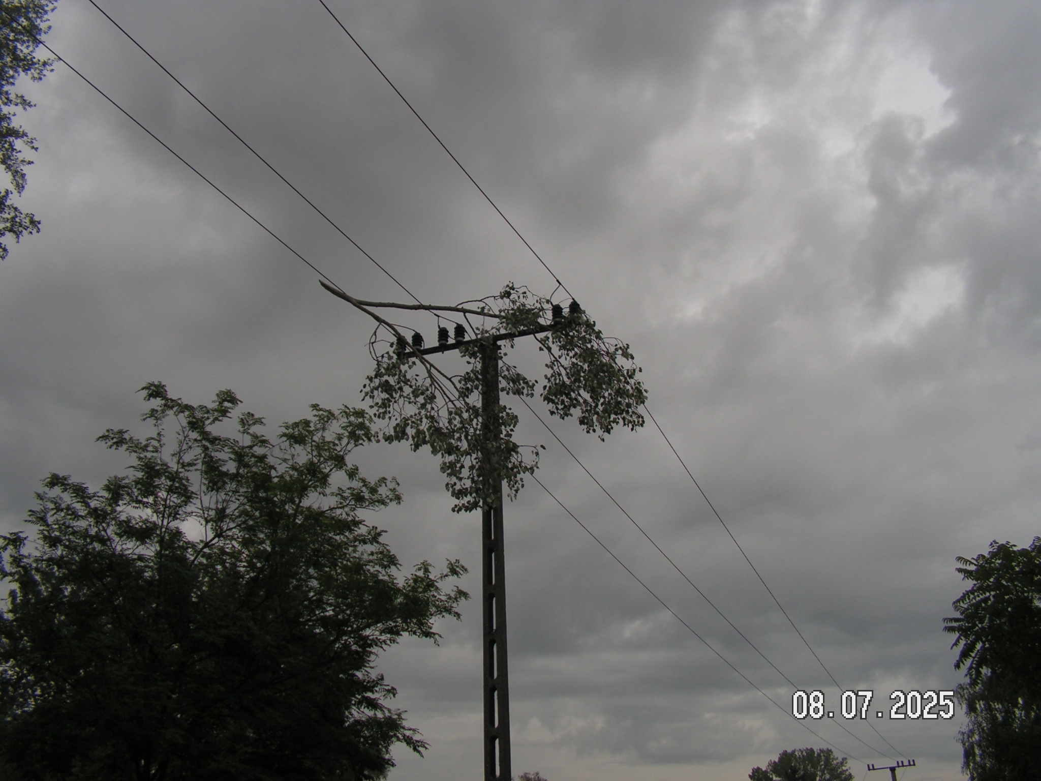 pict0089_3.JPG