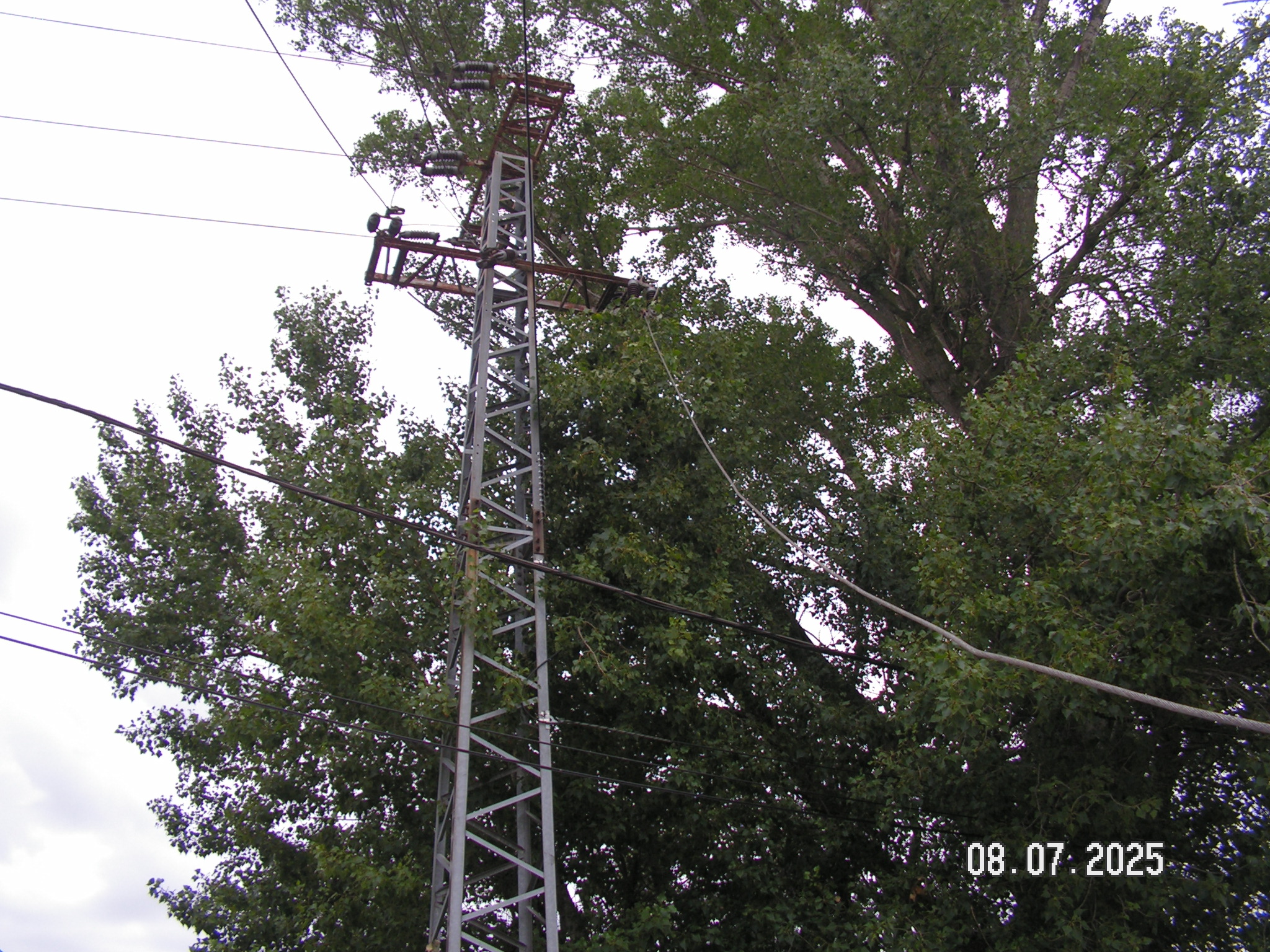 pict0090_4.JPG