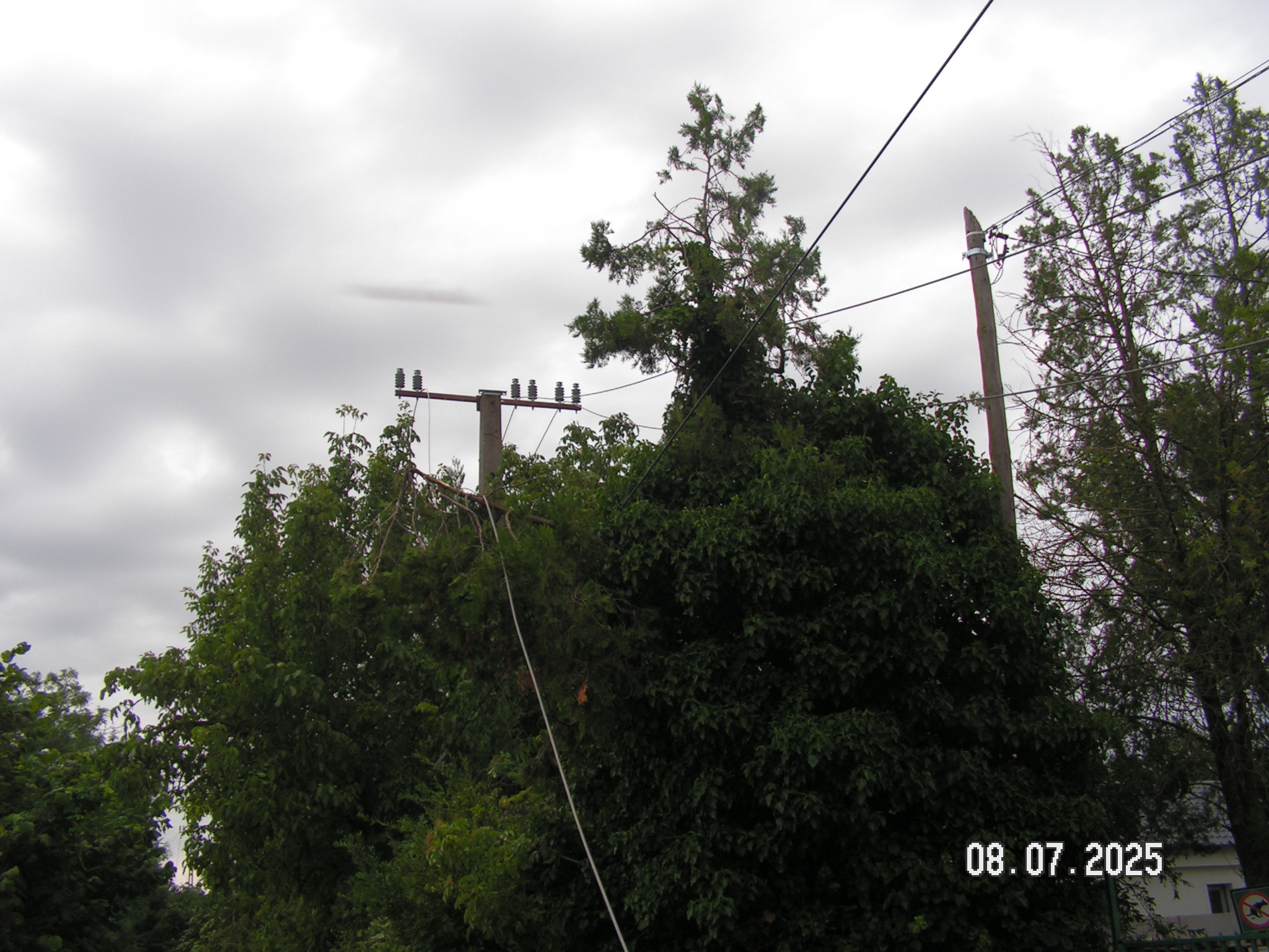 pict0093_3.JPG