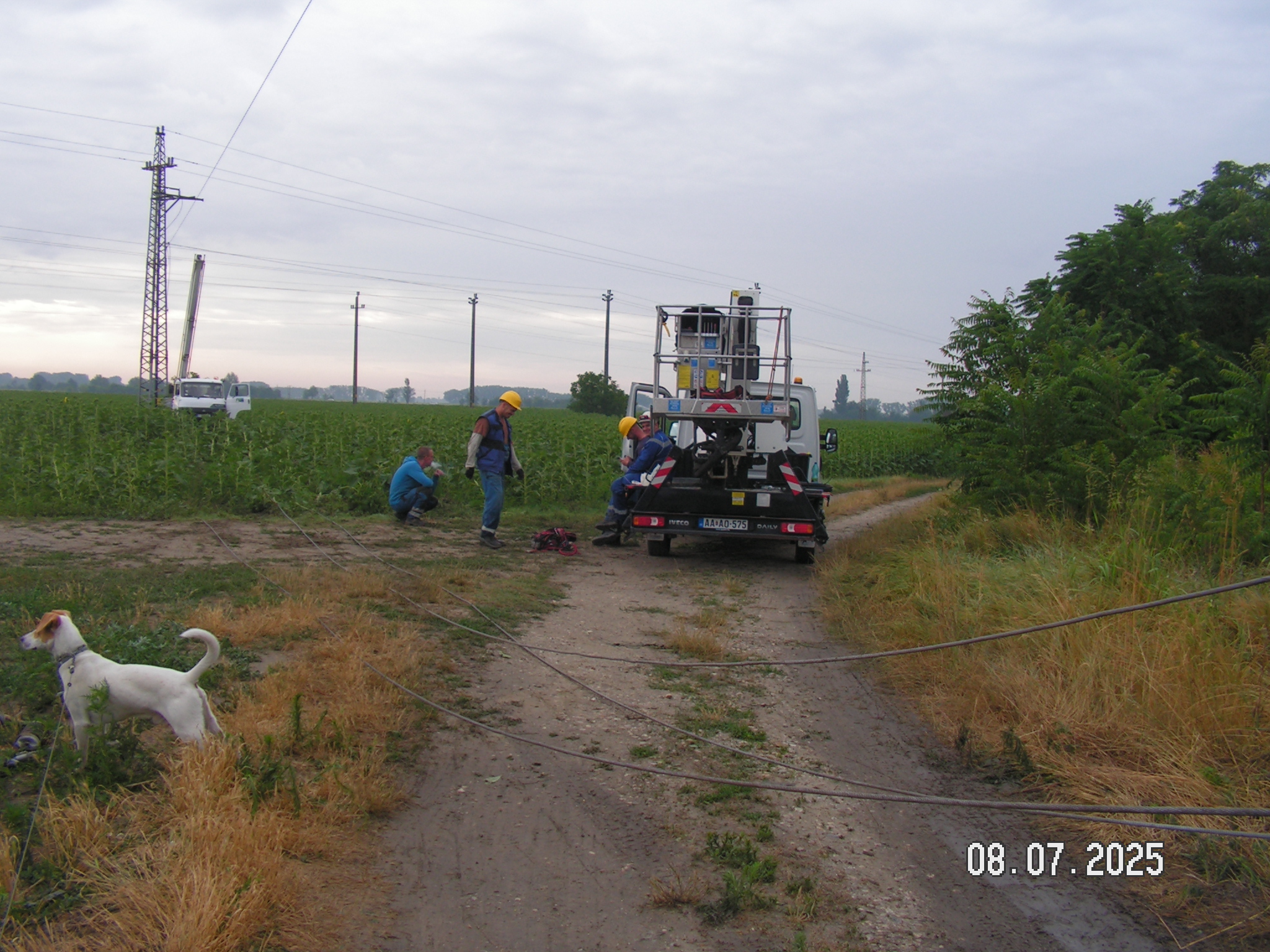 pict0096_4.JPG