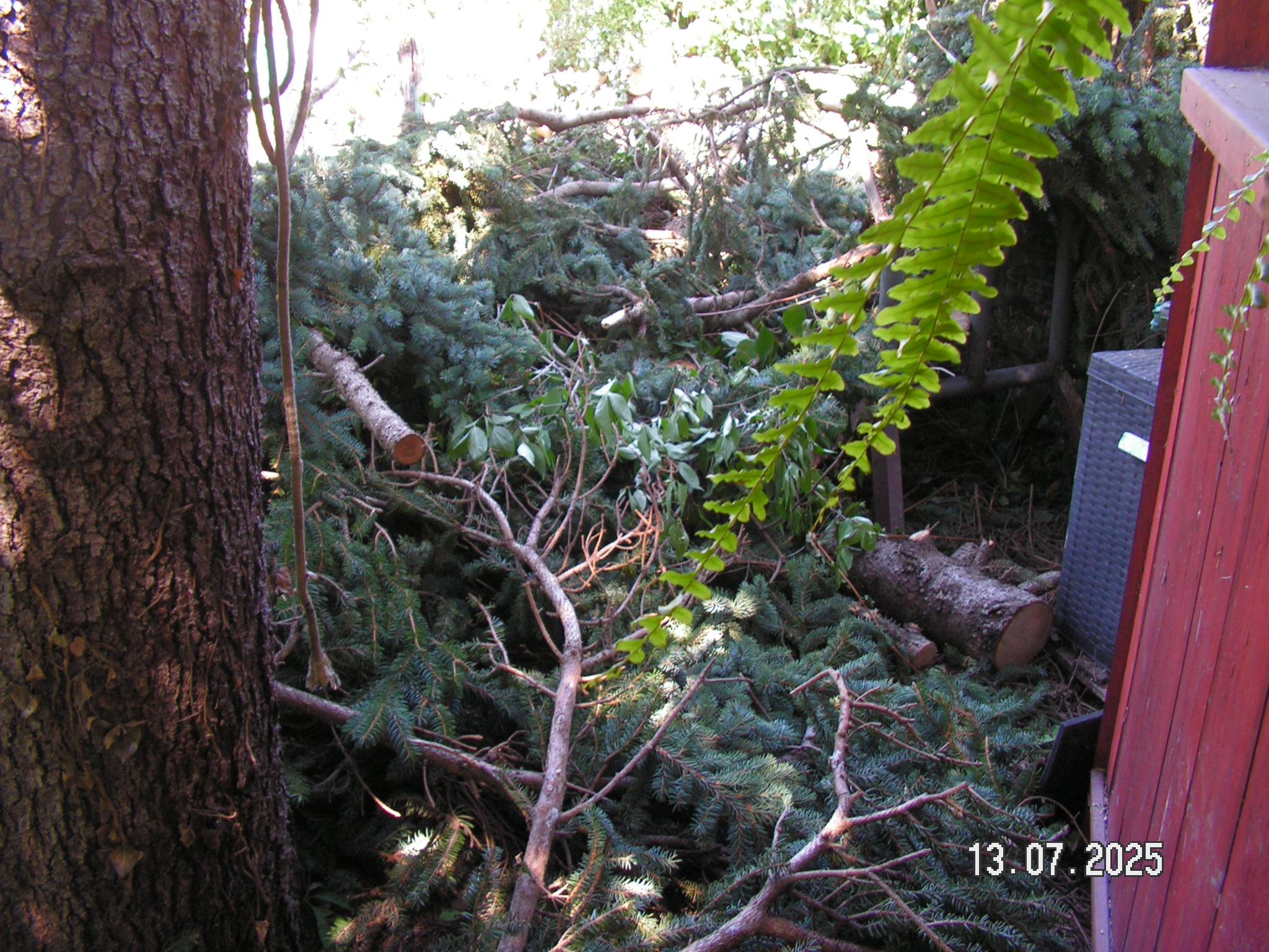 pict0111_3.JPG