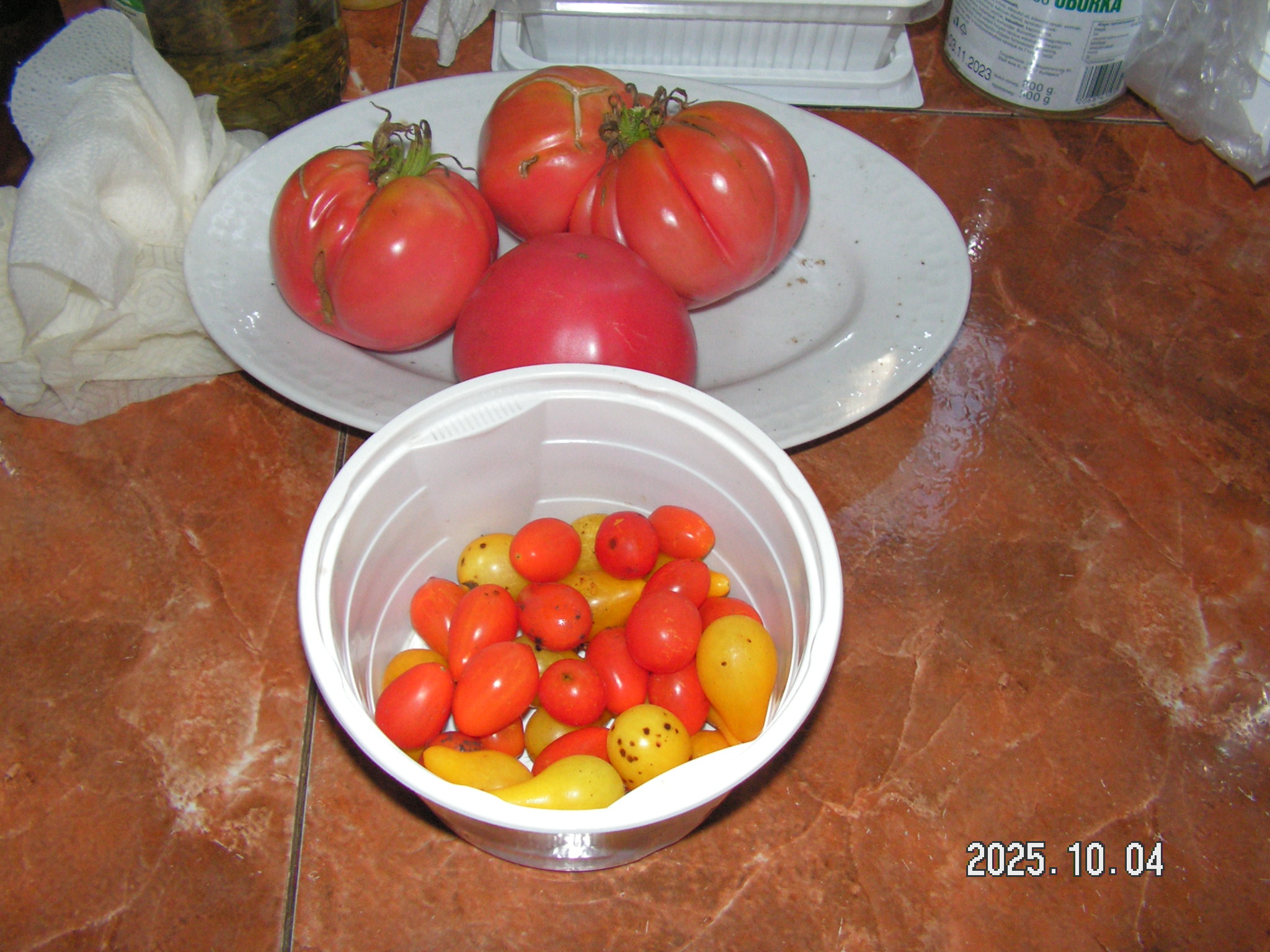 pict0159_1.JPG