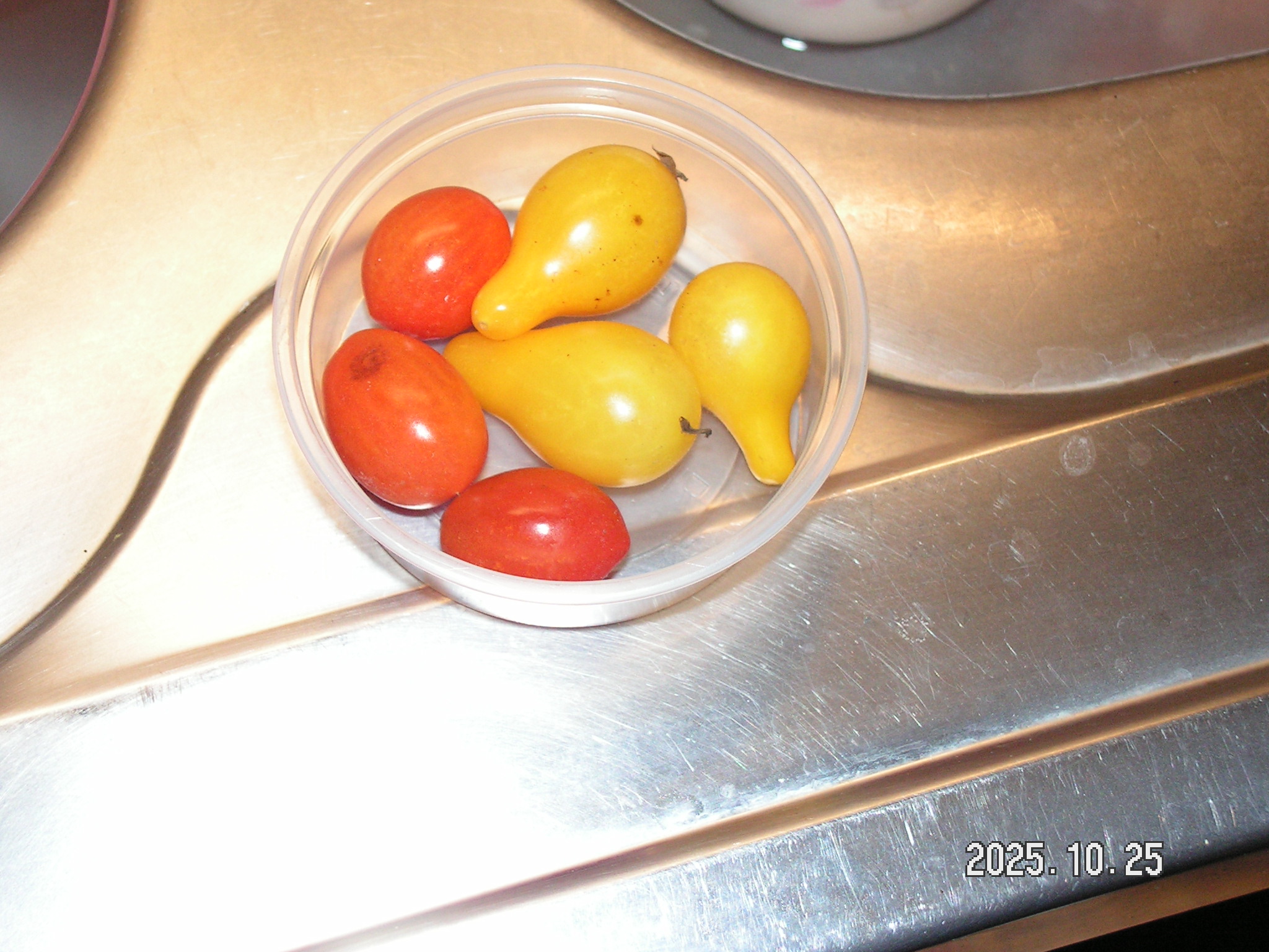 pict0168_3.JPG
