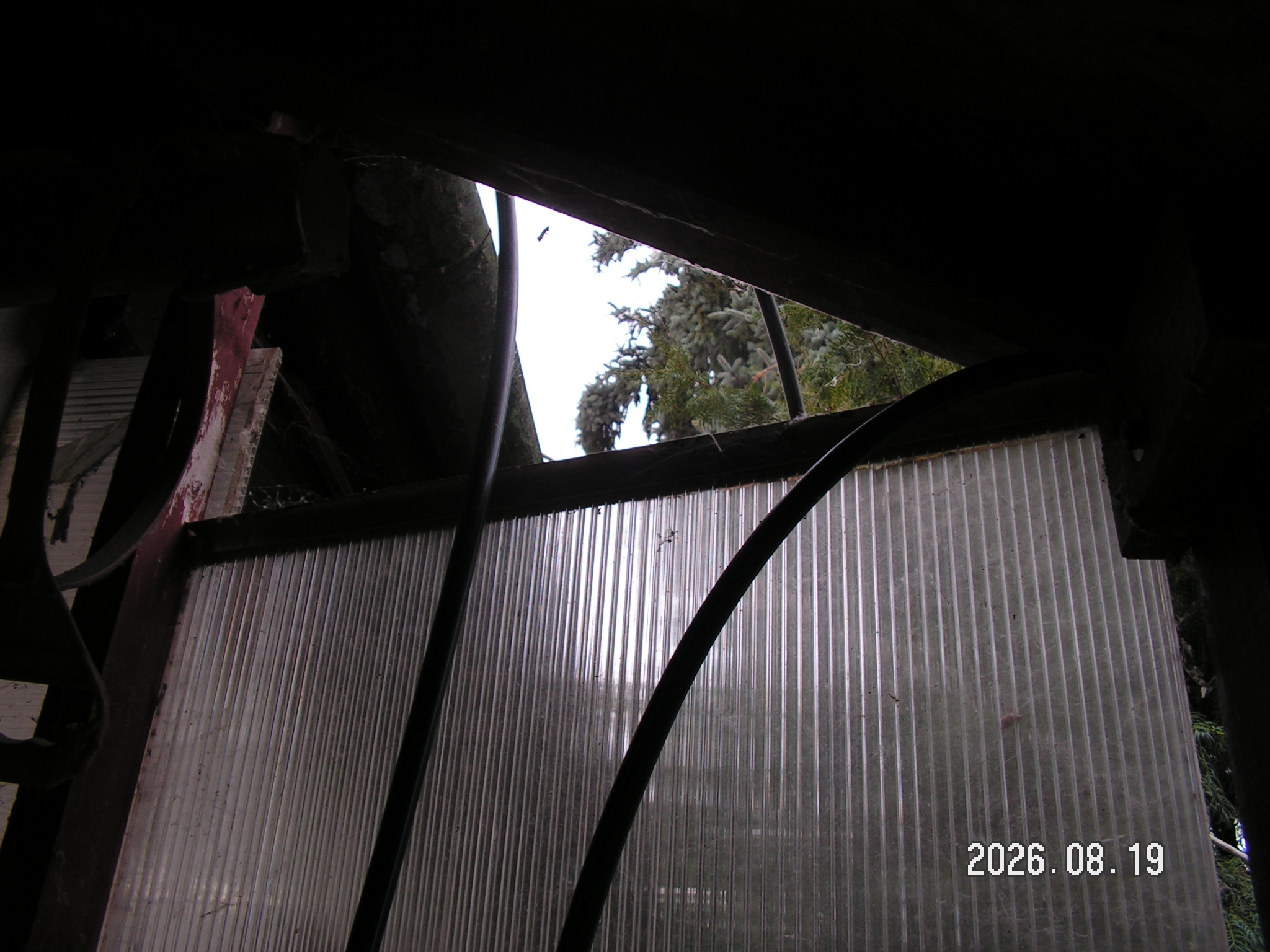 pict0216_2.JPG