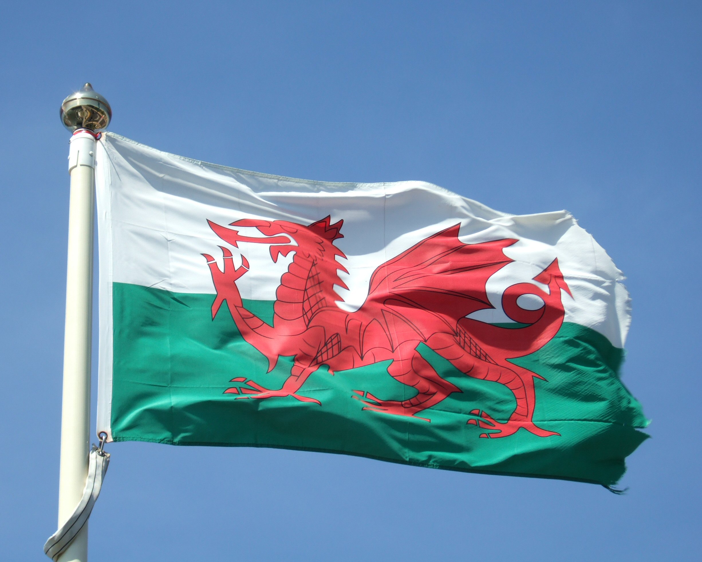 welsh_flag.jpg