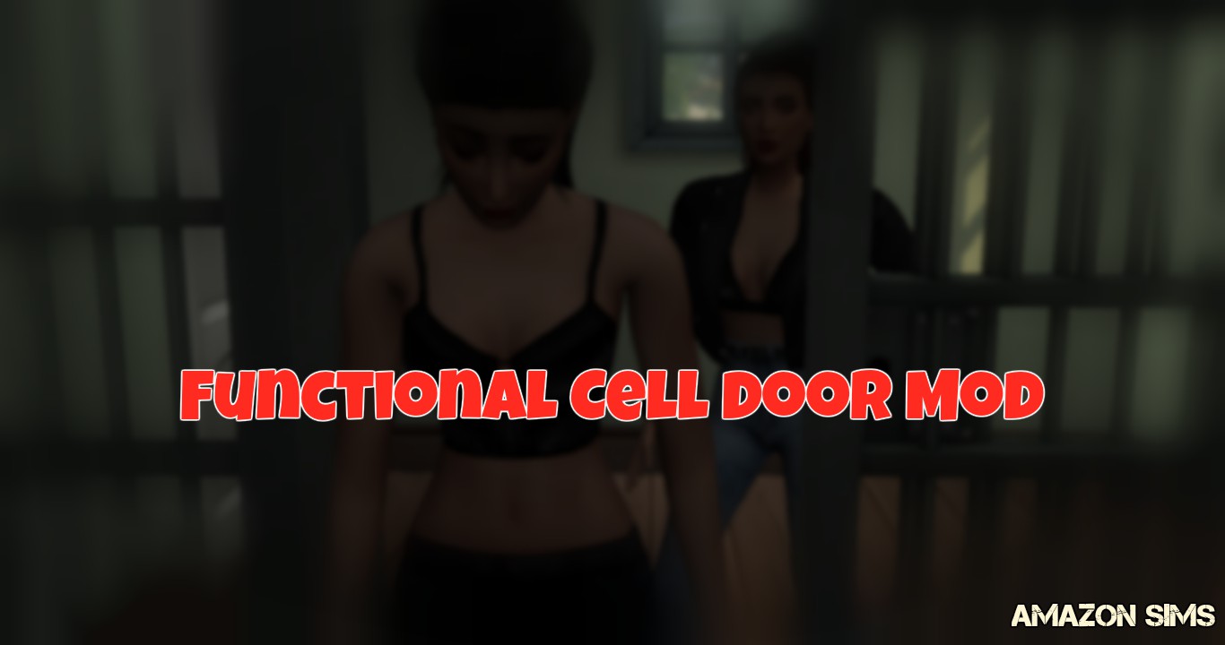 functional_cell_door_mod_borito.jpg