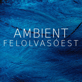 Ambient Est - 2012.04.23., Attention Alkotóműhely