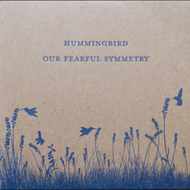 Hummingbird: Our Fearful Symmetry