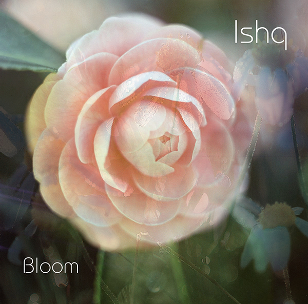 Ishq - Bloom.jpeg