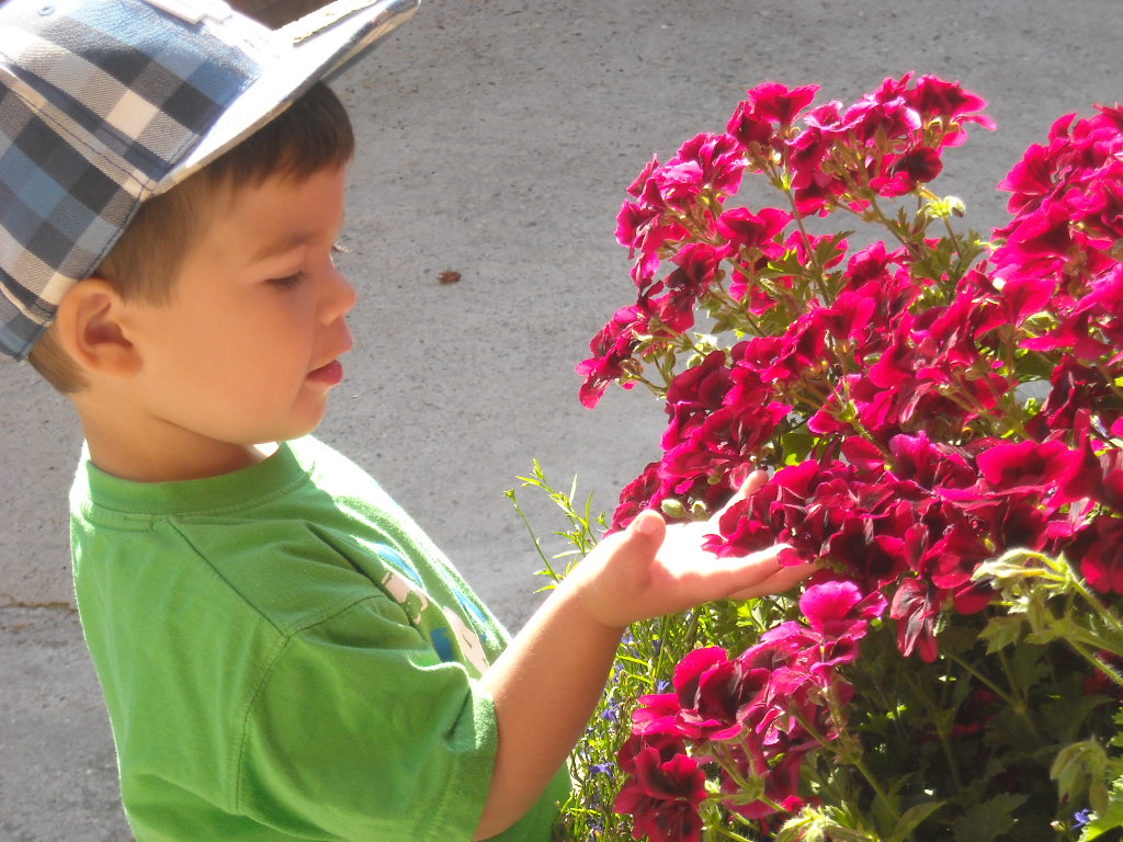 Marci jún 27 012.jpg