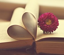 book-flower-love-valentines-day-favim_com-5142029.jpeg