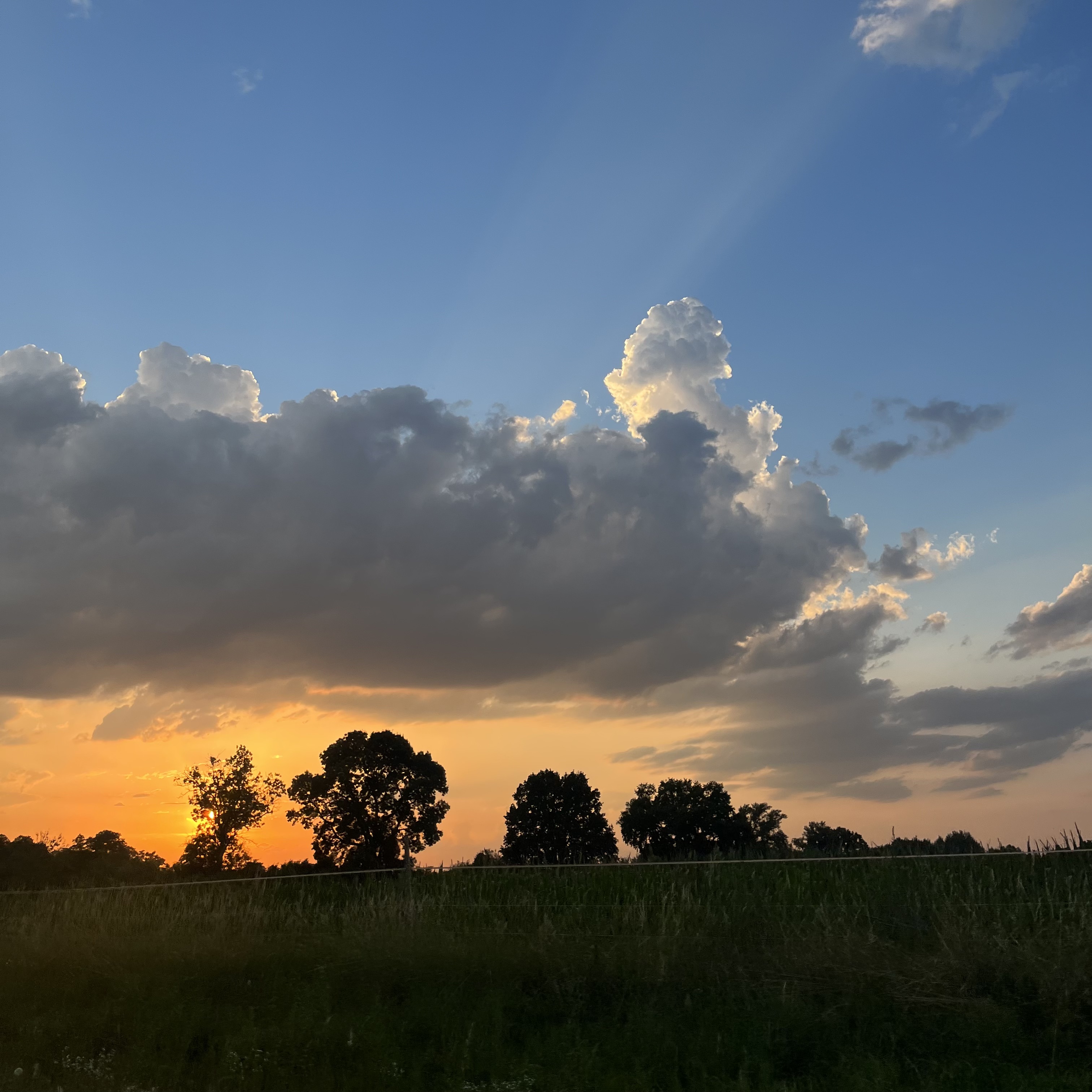 img_7359_2.jpeg