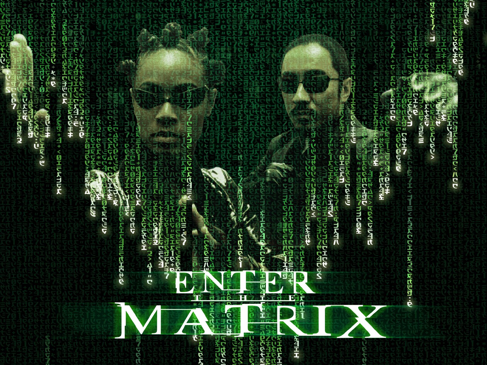 enter_the_matrix_a.jpg