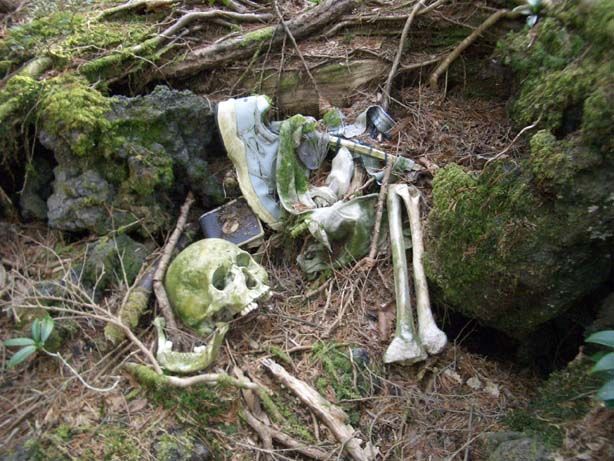 aokigahara_12.jpg