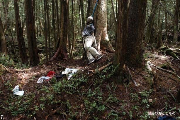 aokigahara_15.jpg