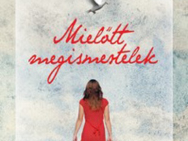 Jojo Moyes: Mielőtt megismertelek - értékelés