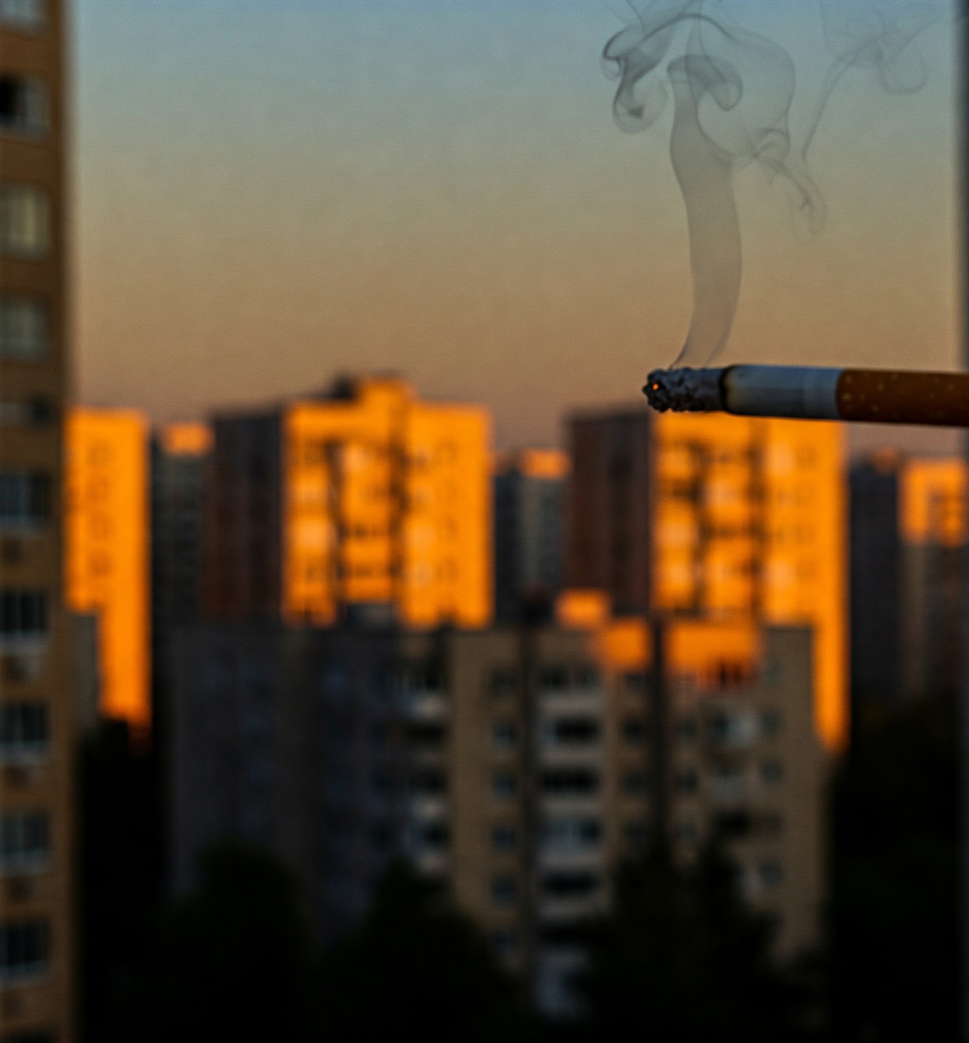 a_csend_nyelve.jpg