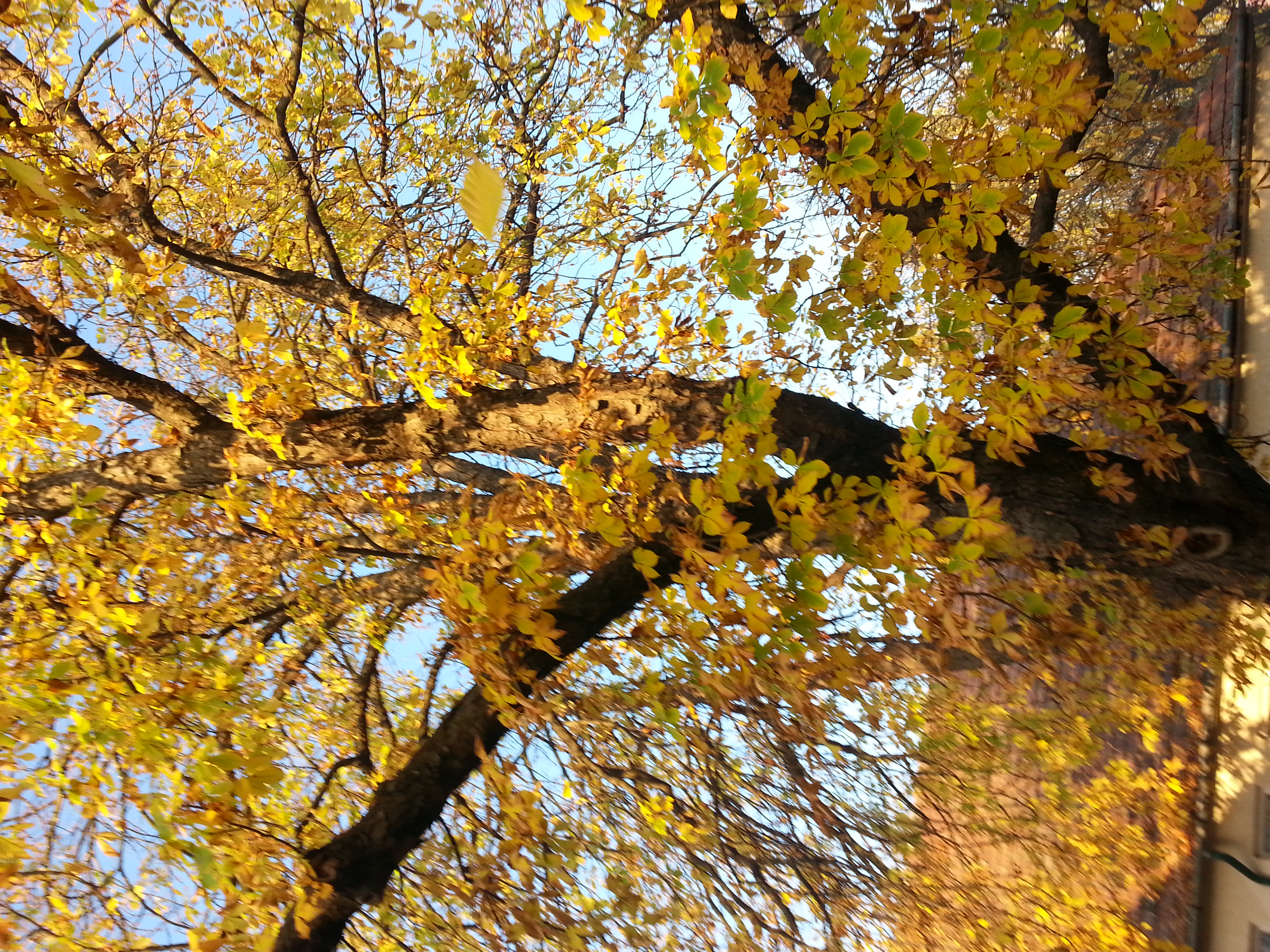 20151103_071826.jpg